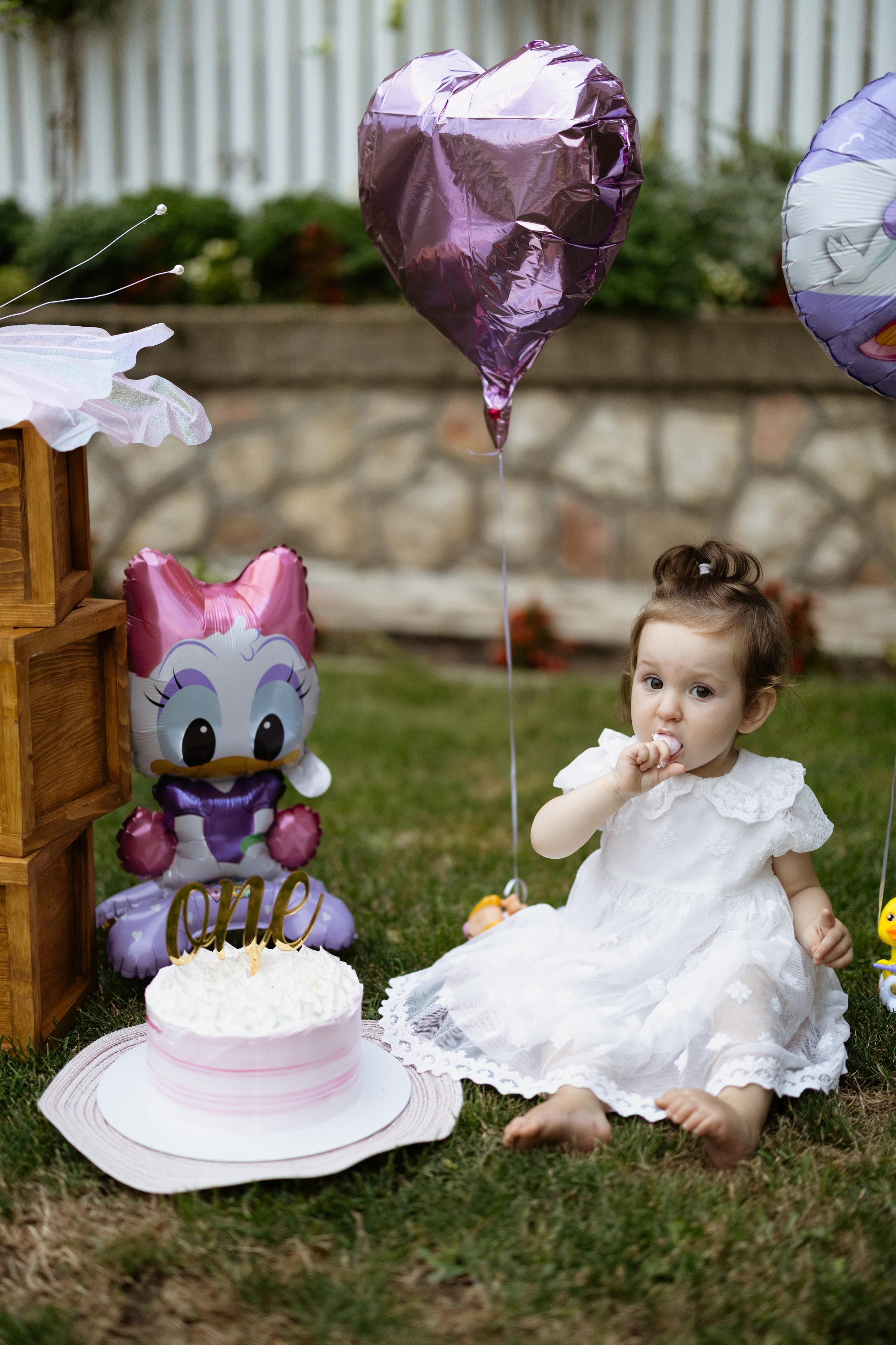 Cake Smash. Novorođenčad, Trudnice i Porodični fotogaf u Beču i Požarevcu Mihajlo Stević