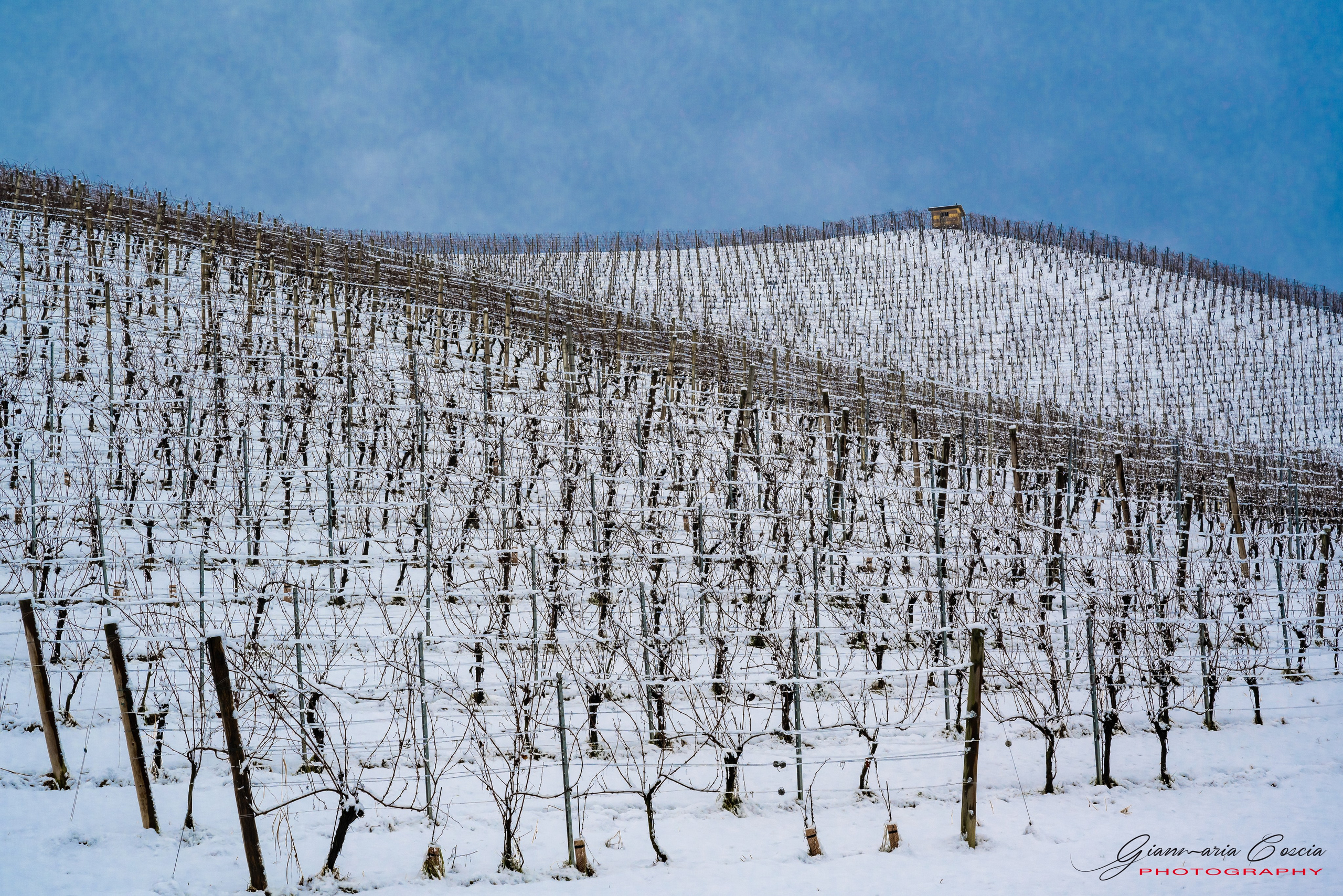 Langhe. “Gianmaria Coscia fotografo per passione”