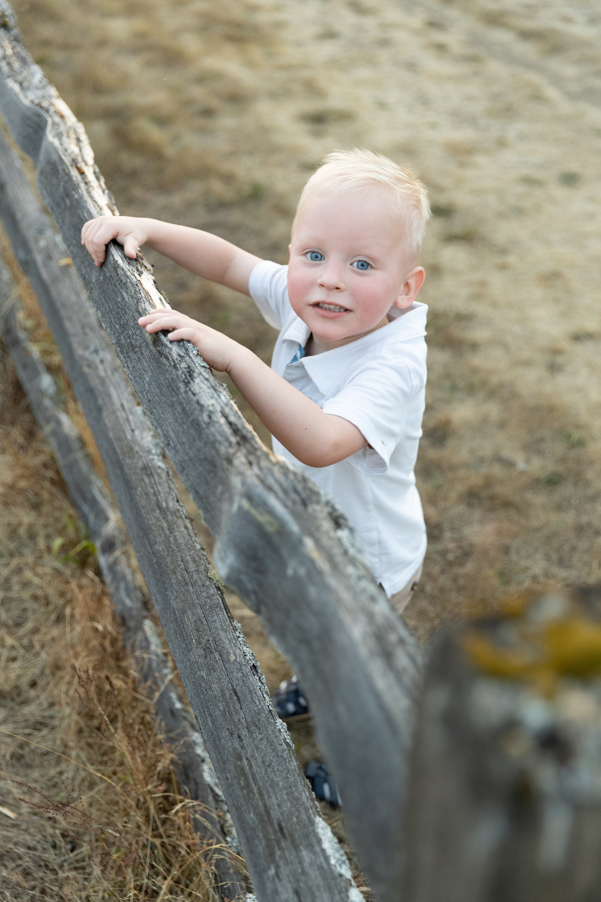 F | E. Family and Wedding photographer