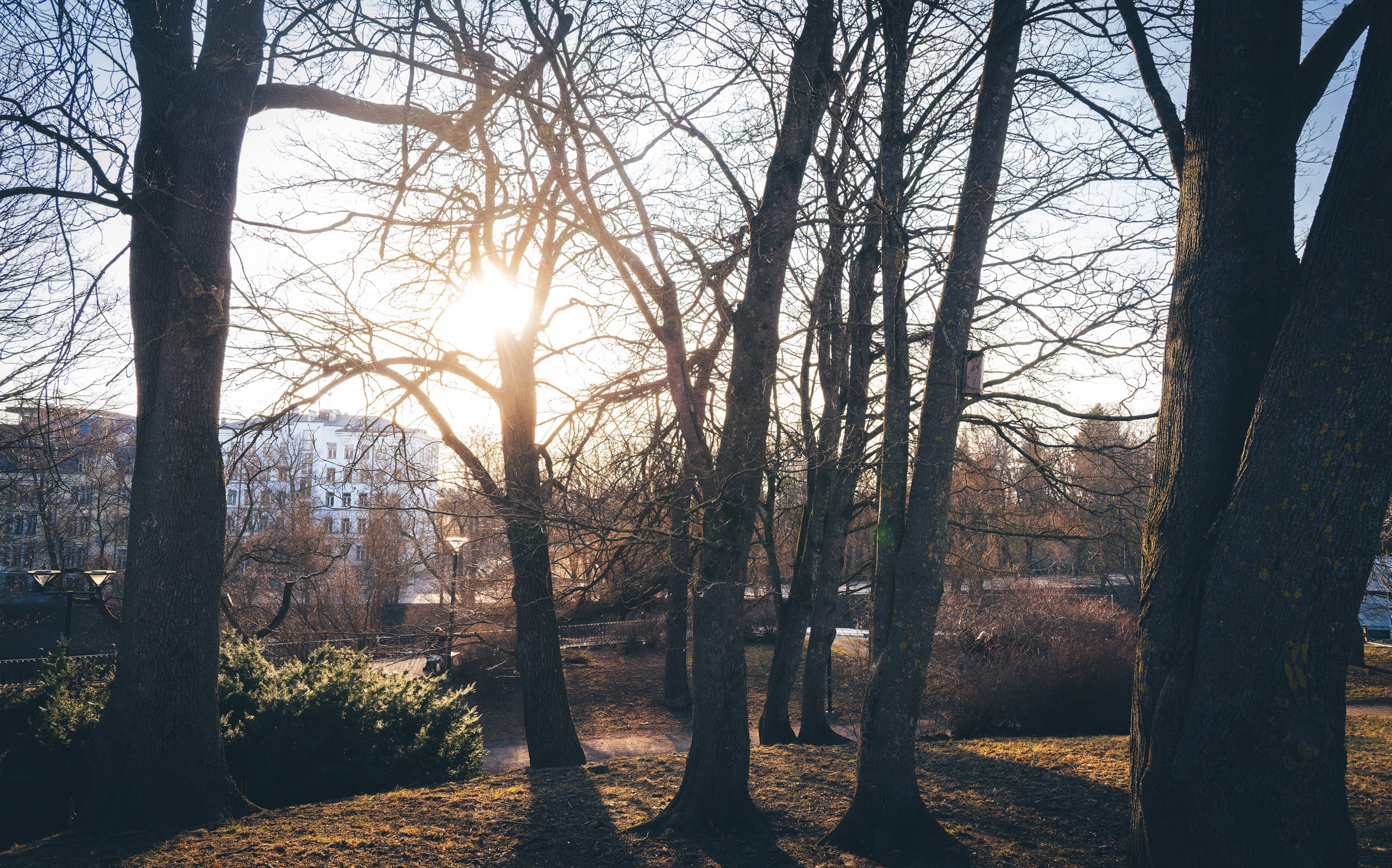 Vana-Tallinn + Gold dragon, Jalutamine (Anja K.). Nebula 25 — Fotod teie hingele