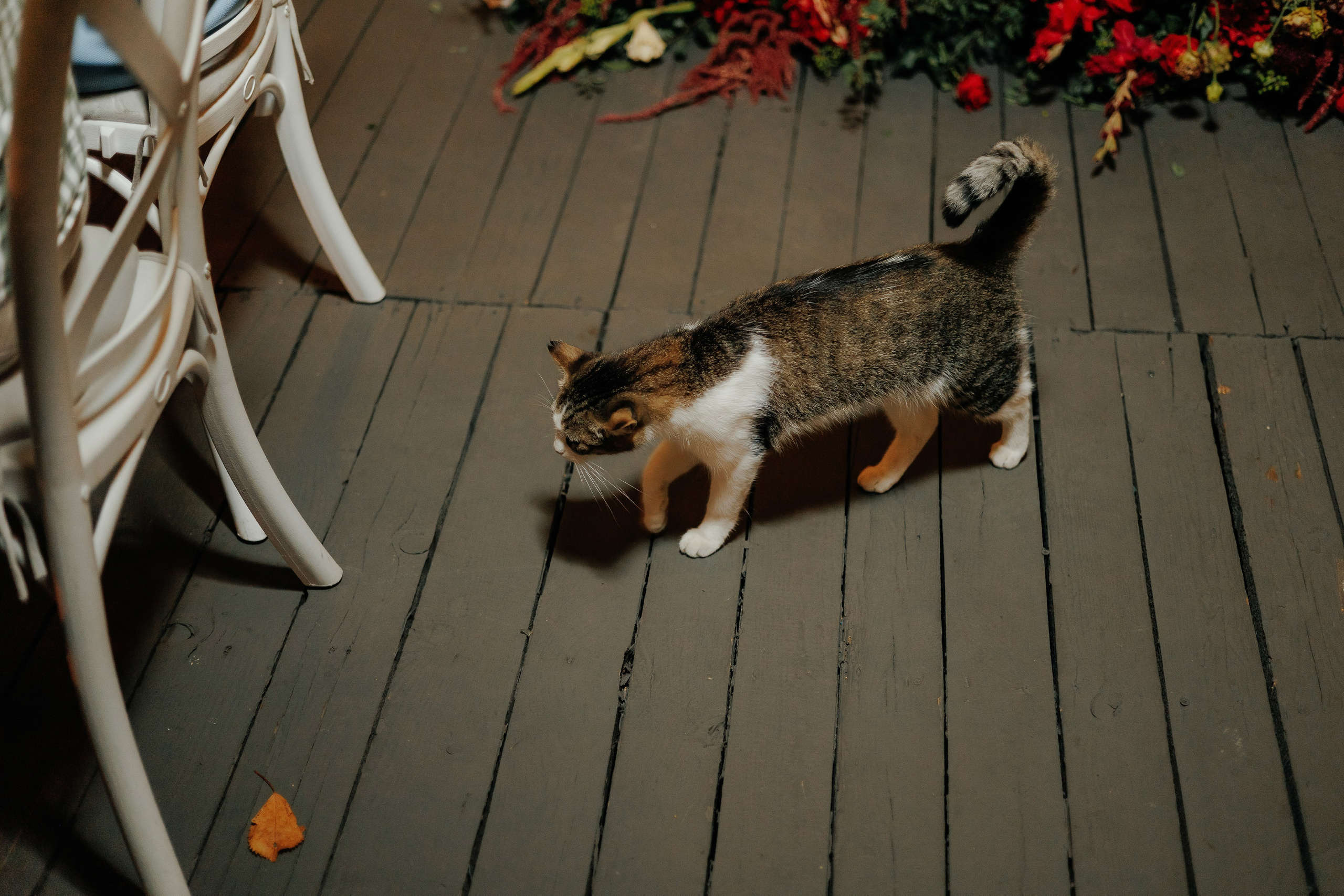 Vadim & Irina. ProWed — Foto Video Moldova și România