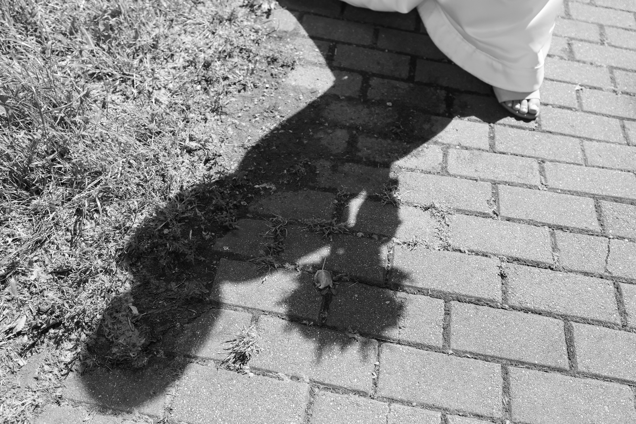 Simona & Titus-Temišvar. ZORAN TORĐAN — FOTOGRAF I VIDEO PRODUCENT Zrenjanin