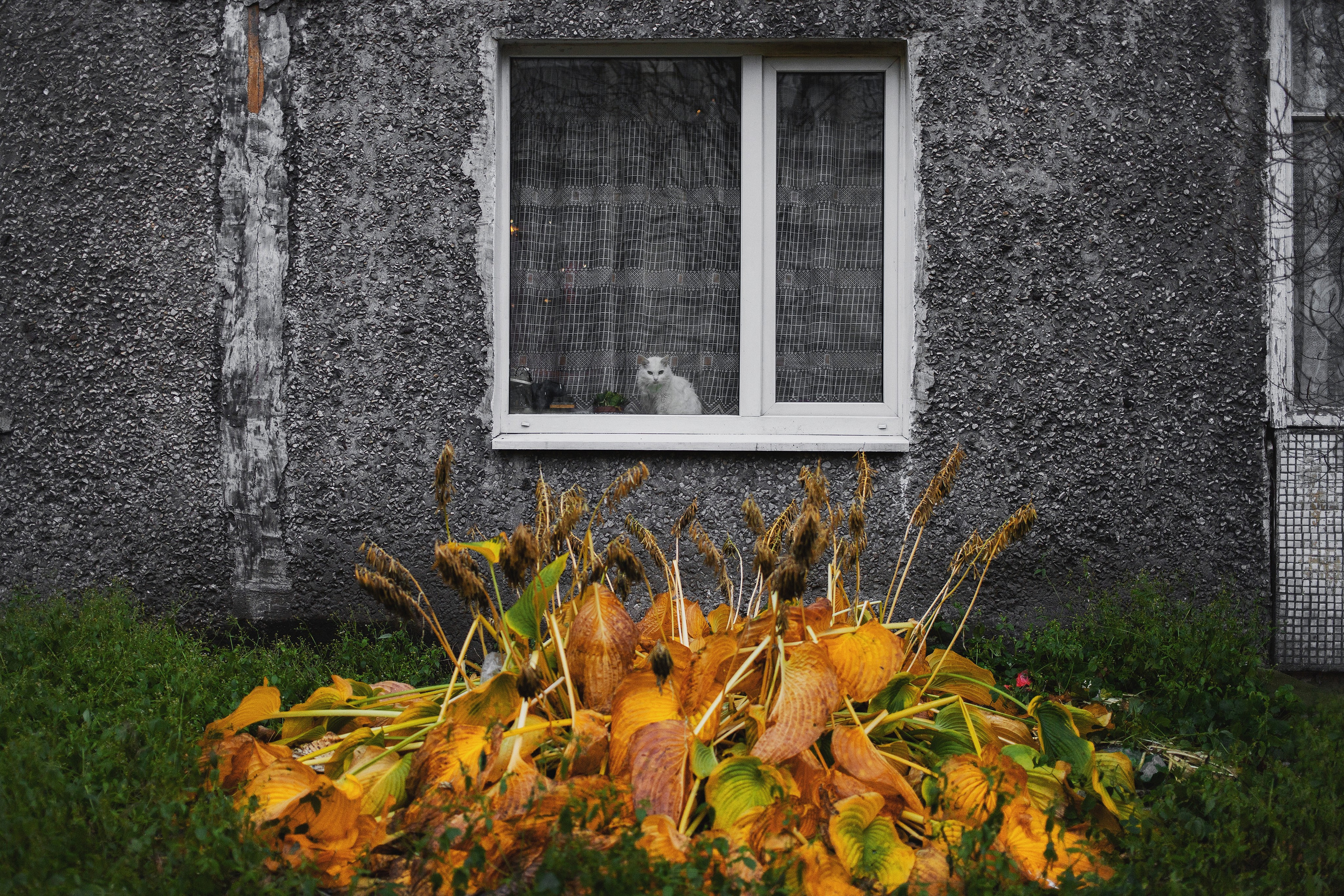 Walls. Ilia Denbrov photography