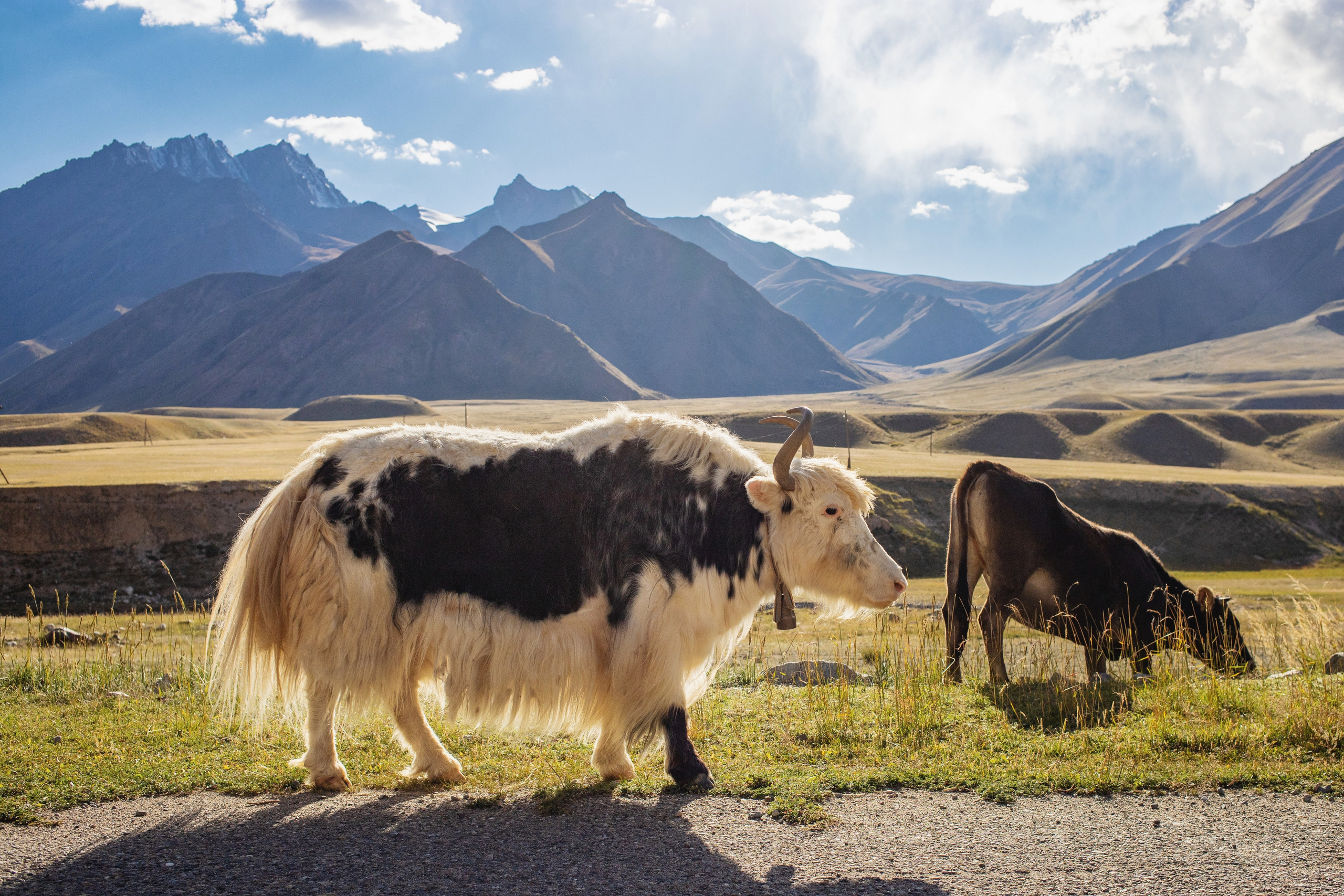Explore Kyrgyzstan. Ilia Denbrov photography