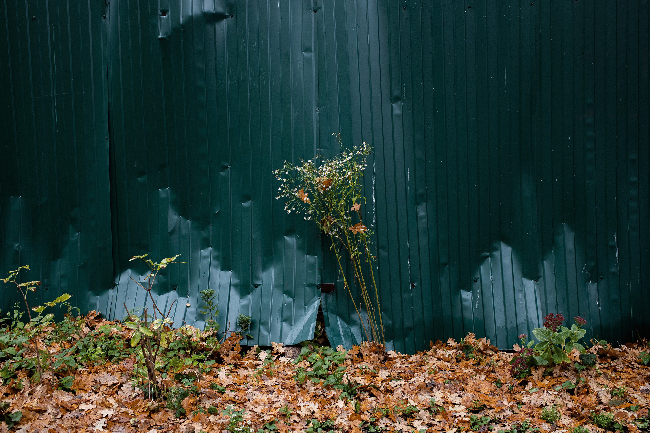 Walls. Ilia Denbrov photography