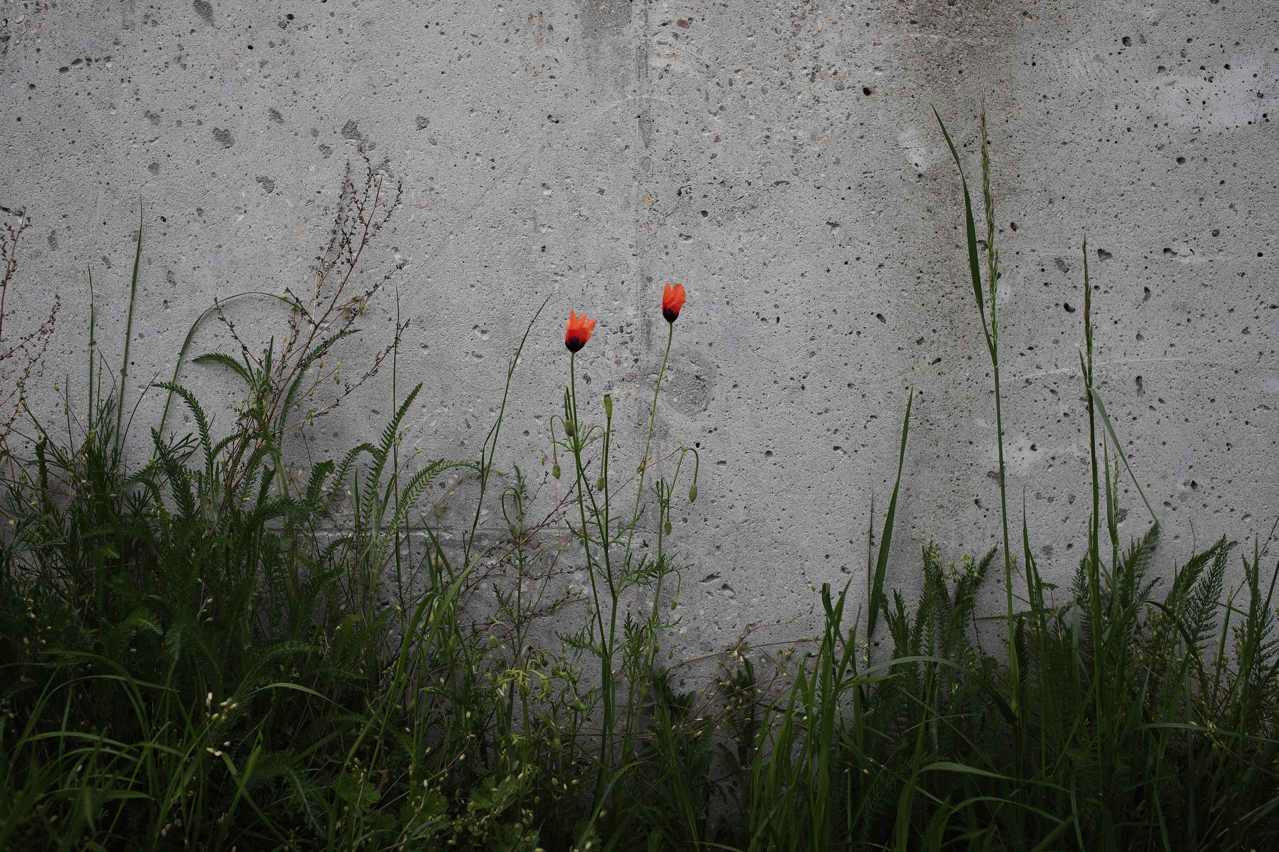 Walls. Ilia Denbrov photography