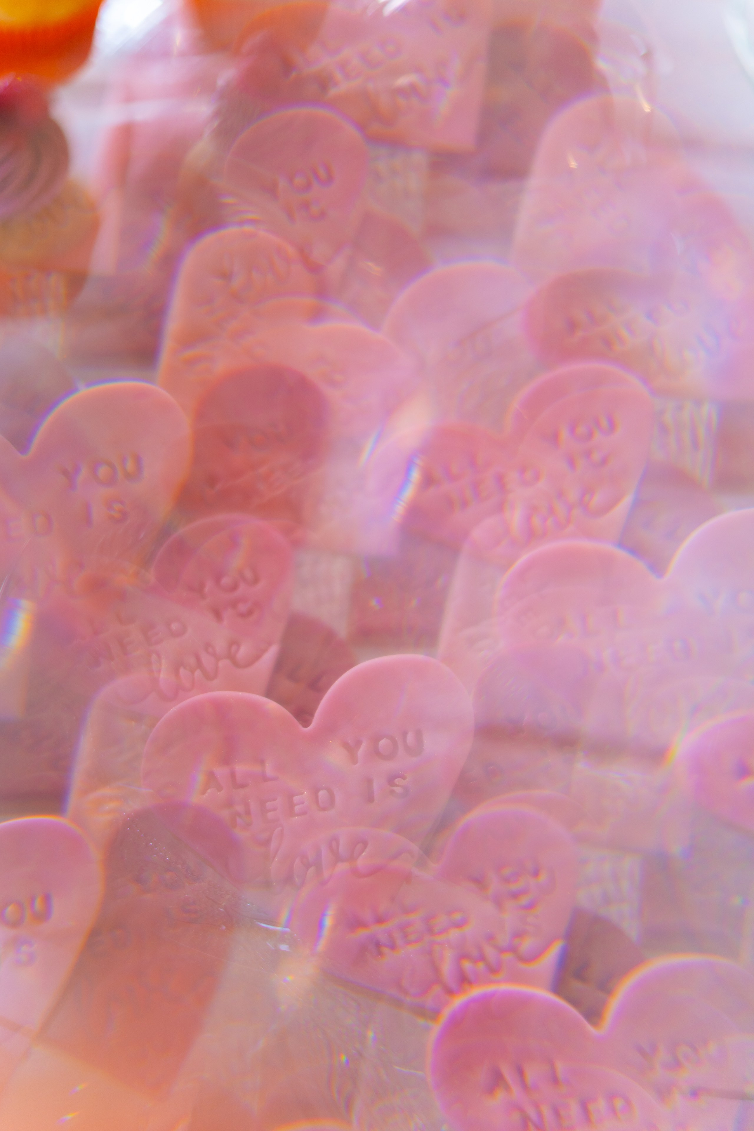 Wedding couple. Jana Holubová | Svatební, párová a rodinná fotografka v Praze