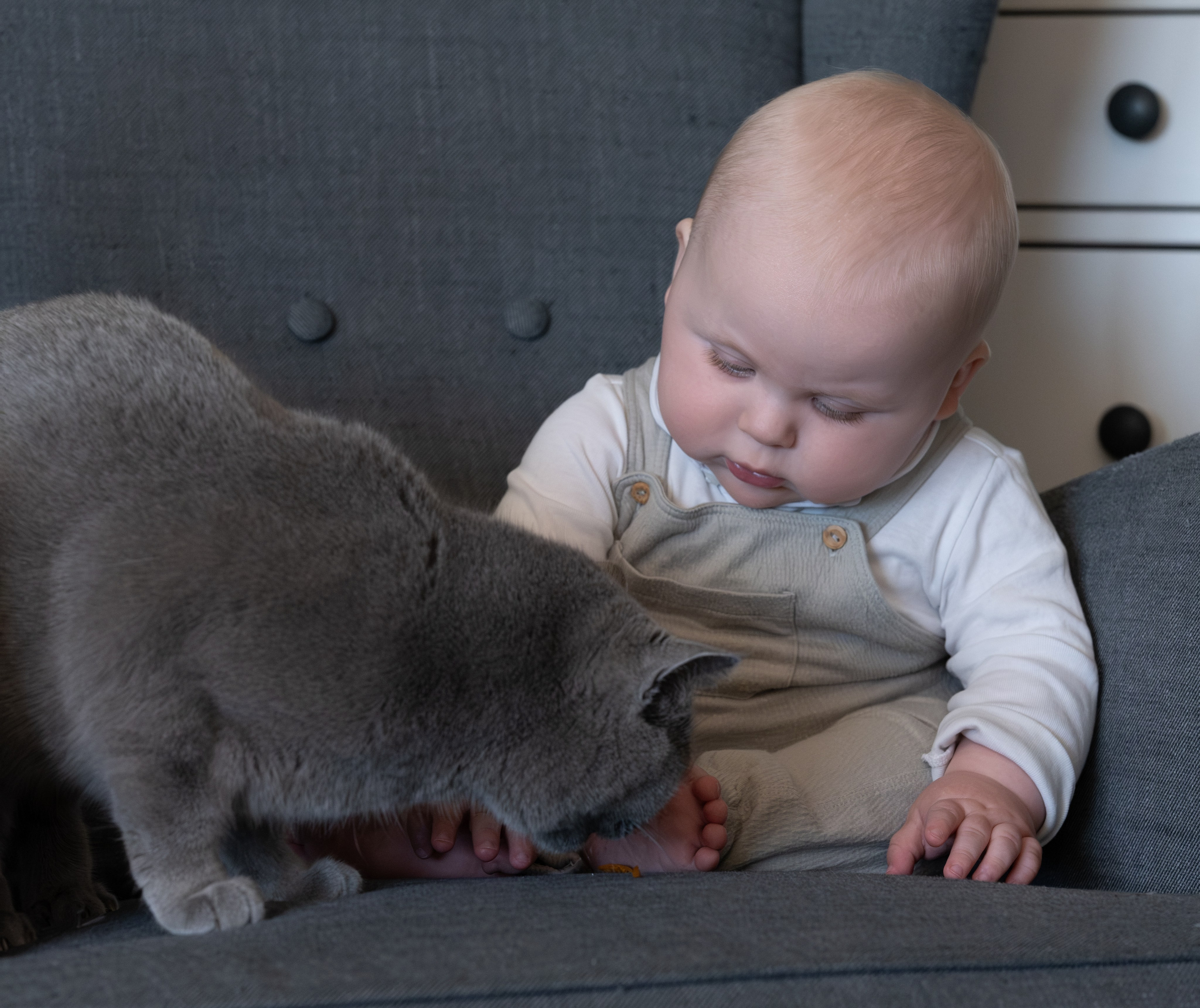 Sußer Junge. Newborn Baby Fotografie Flensburg Babyfotoshooting