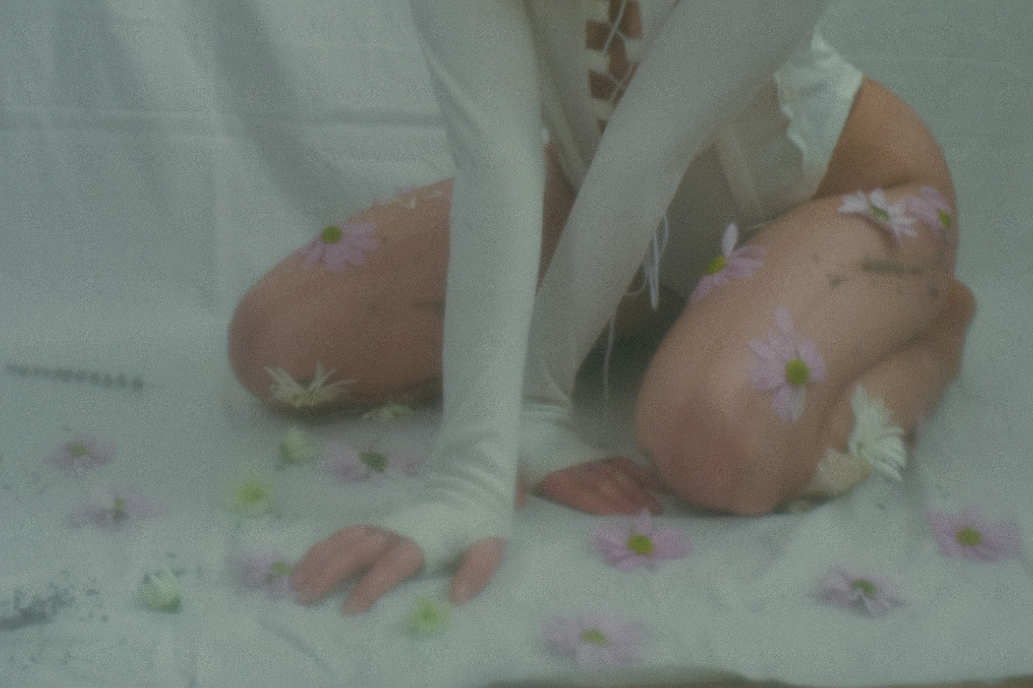 Gallery. Karine Photographer|Videographer