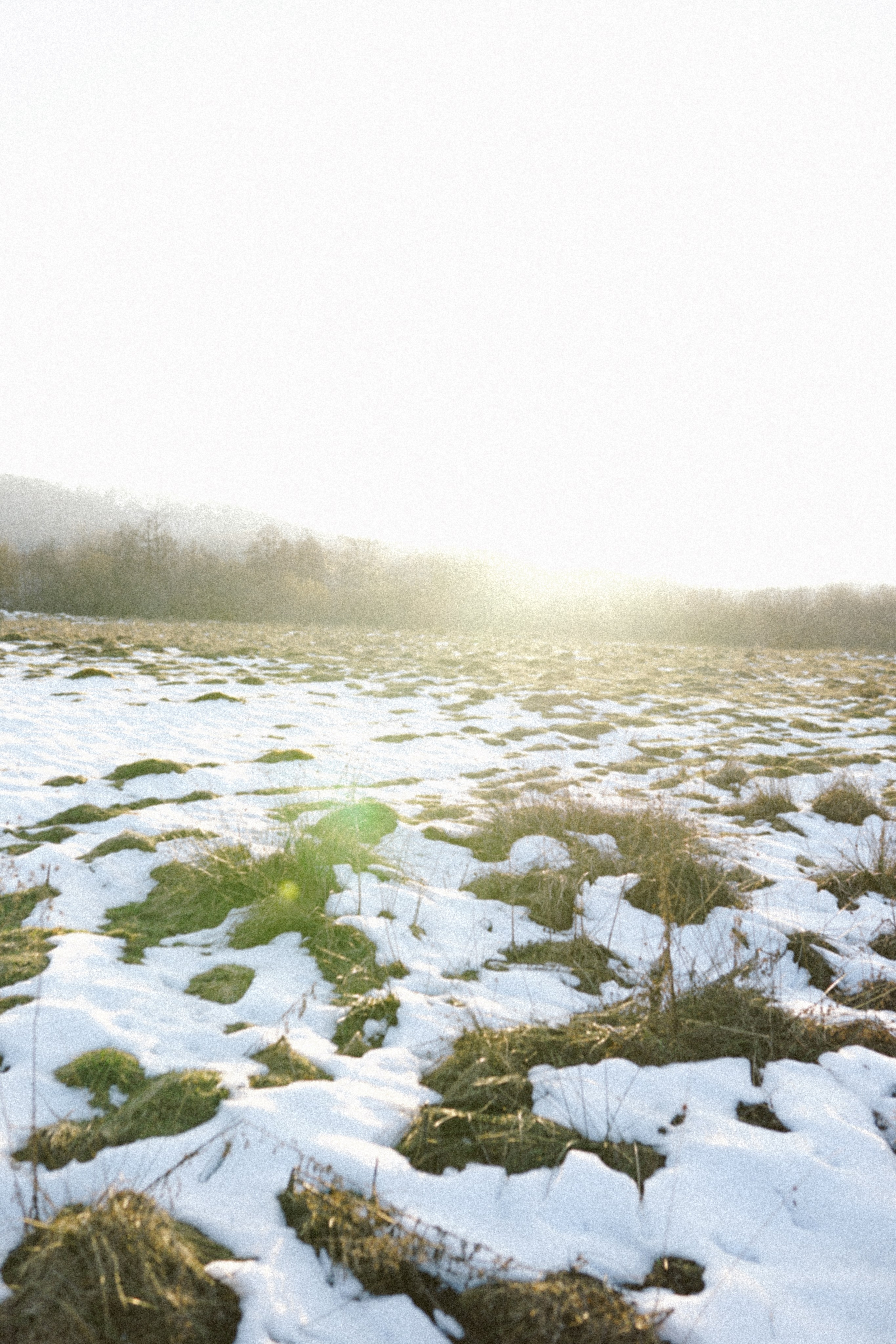 Mărțișorul x Mes Amis: O Poveste de Primăvară | Mădălina Beda. Madalina Beda- Artist vizual, fotograf, doula la nastere, consultant babywearing Brasov si in toata tara