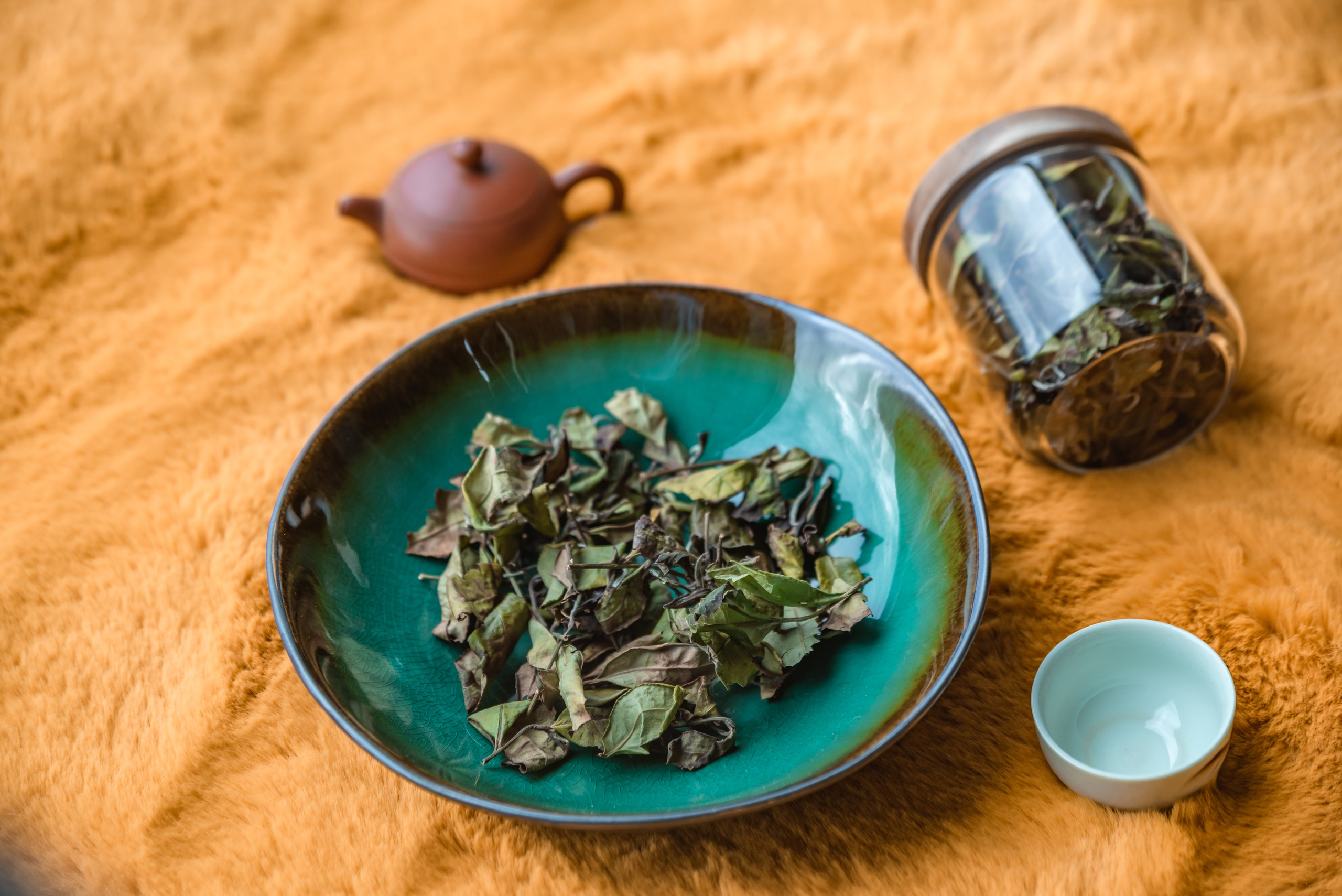 DAO Space. Ekaterina Verbitskaya. Photography