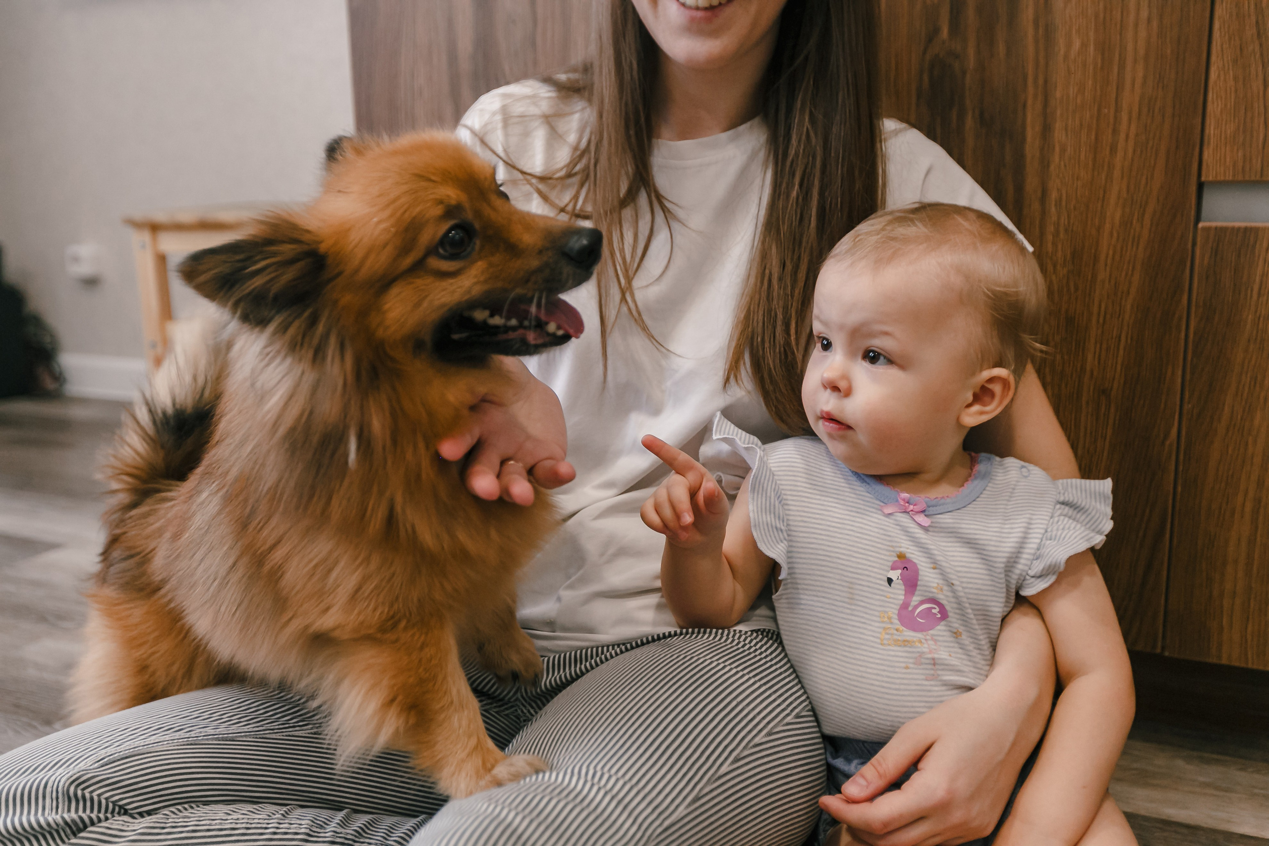 foto de un niño con un perro en casa en brazos de su madre