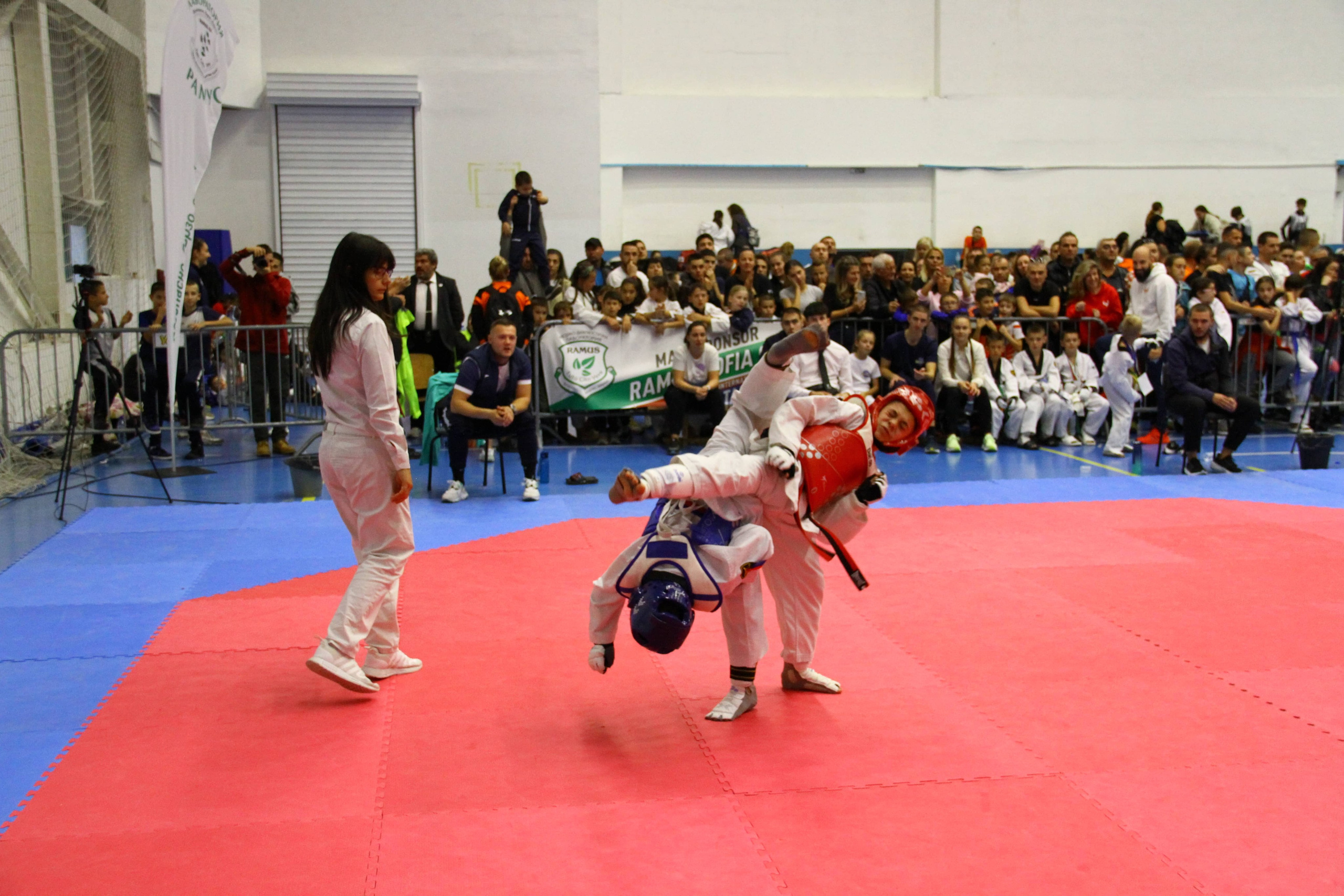 2024-11-03, ТАЕКУОНДО, Ramus Cup, София. СПОРТНА ФОТОГРАФИЯ | ПОРТРЕТНА | РЕПОРТАЖНА