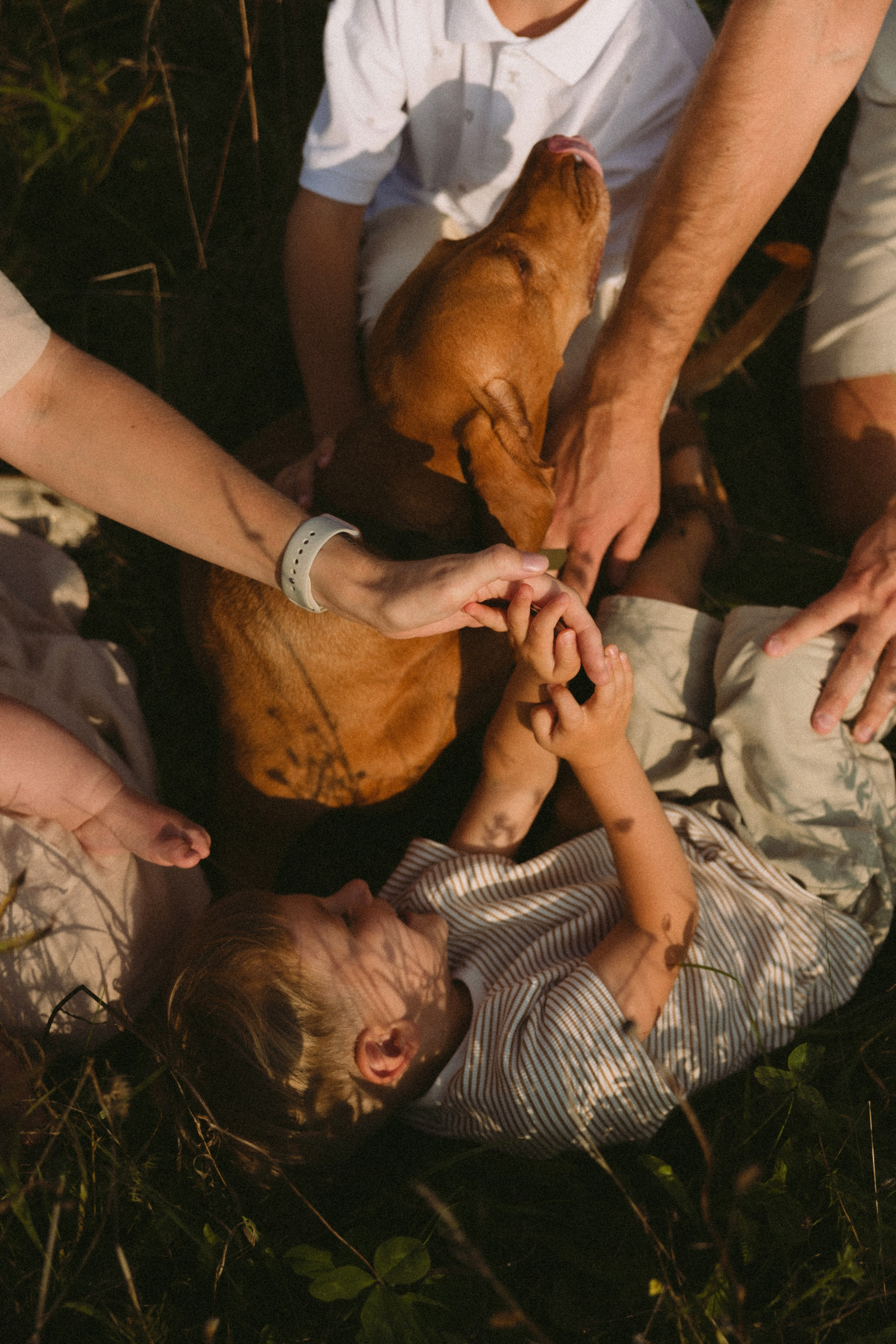 Simonos ir Mariaus šeima | PIEVA. Vestuvių ir šeimų fotografė Lena Bondarenko / belove photo