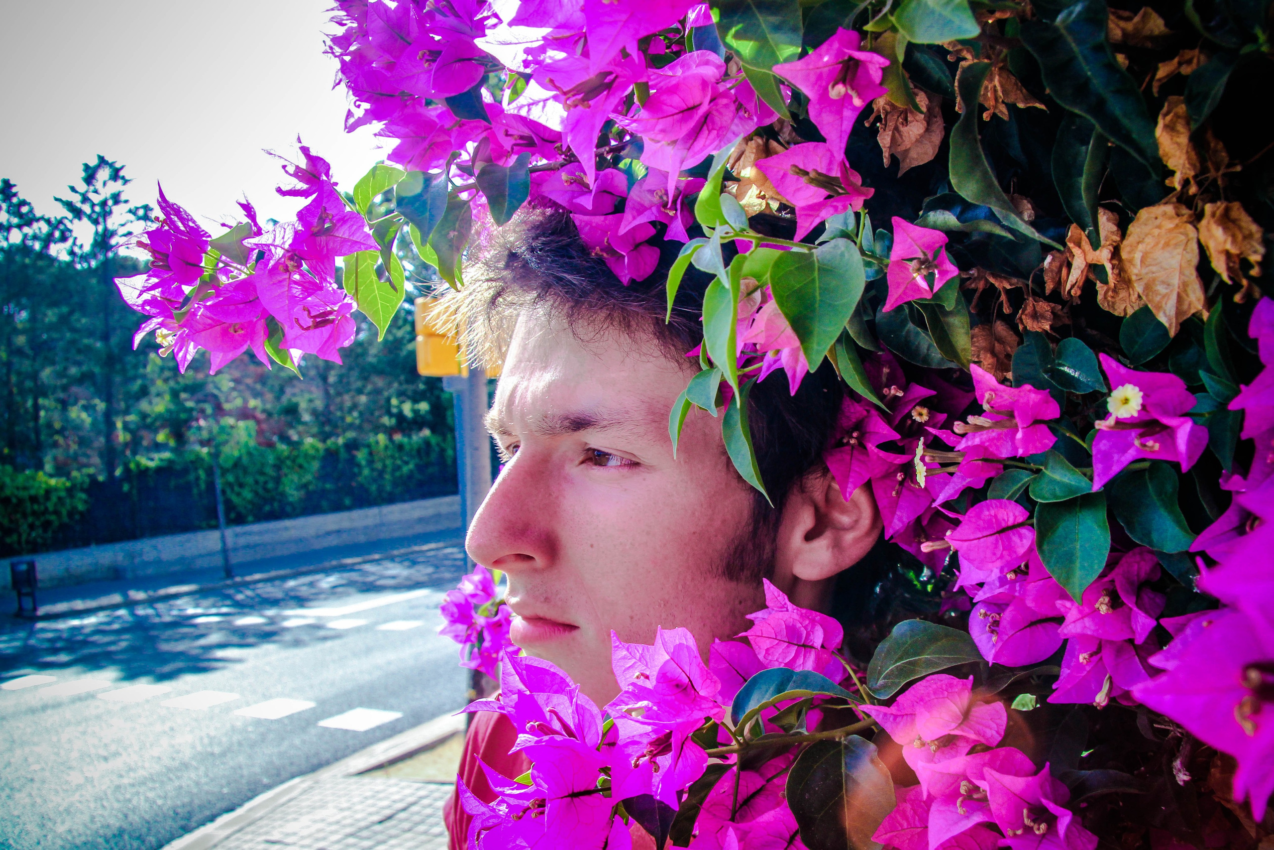 ИСПАНИЯ. Стрит-фотография, полная абсурда, идиотизма и красоты