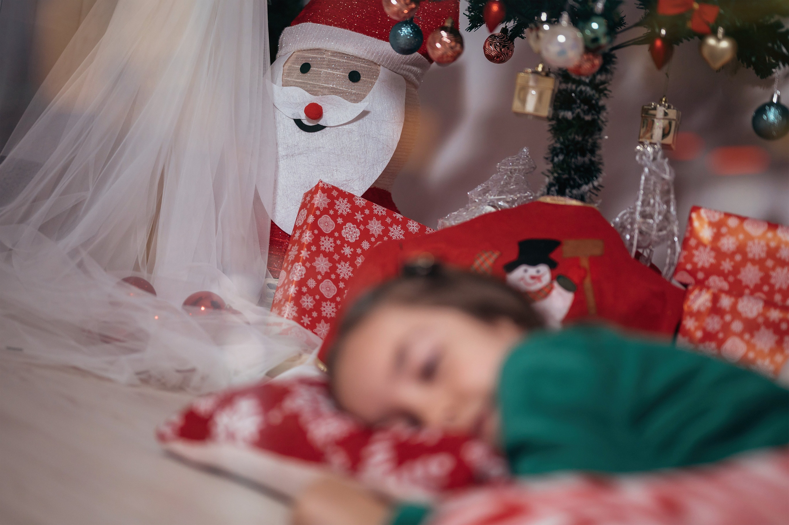 Sedinta Craciun Sofia