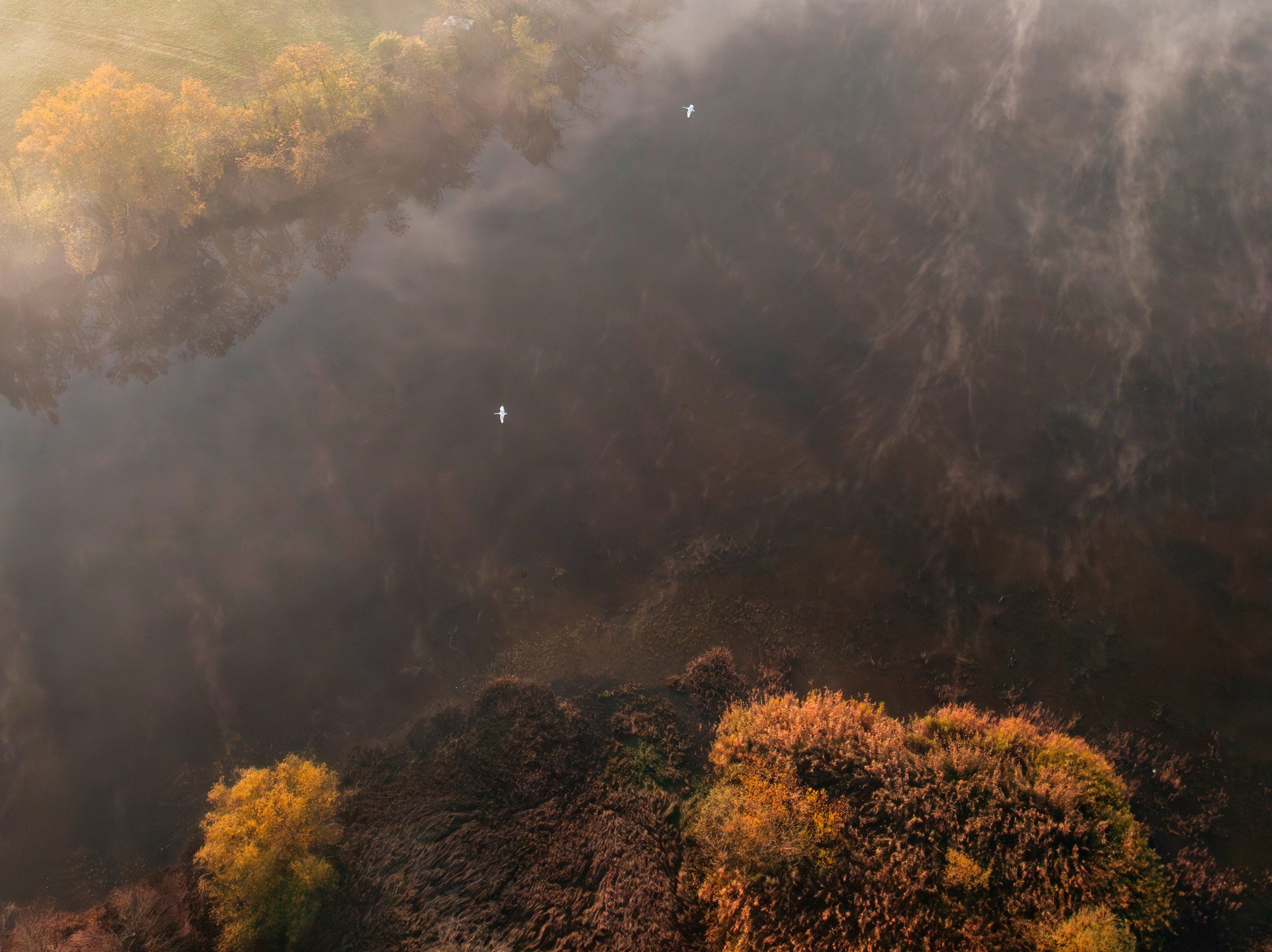 Landscape photography. Wedding photography