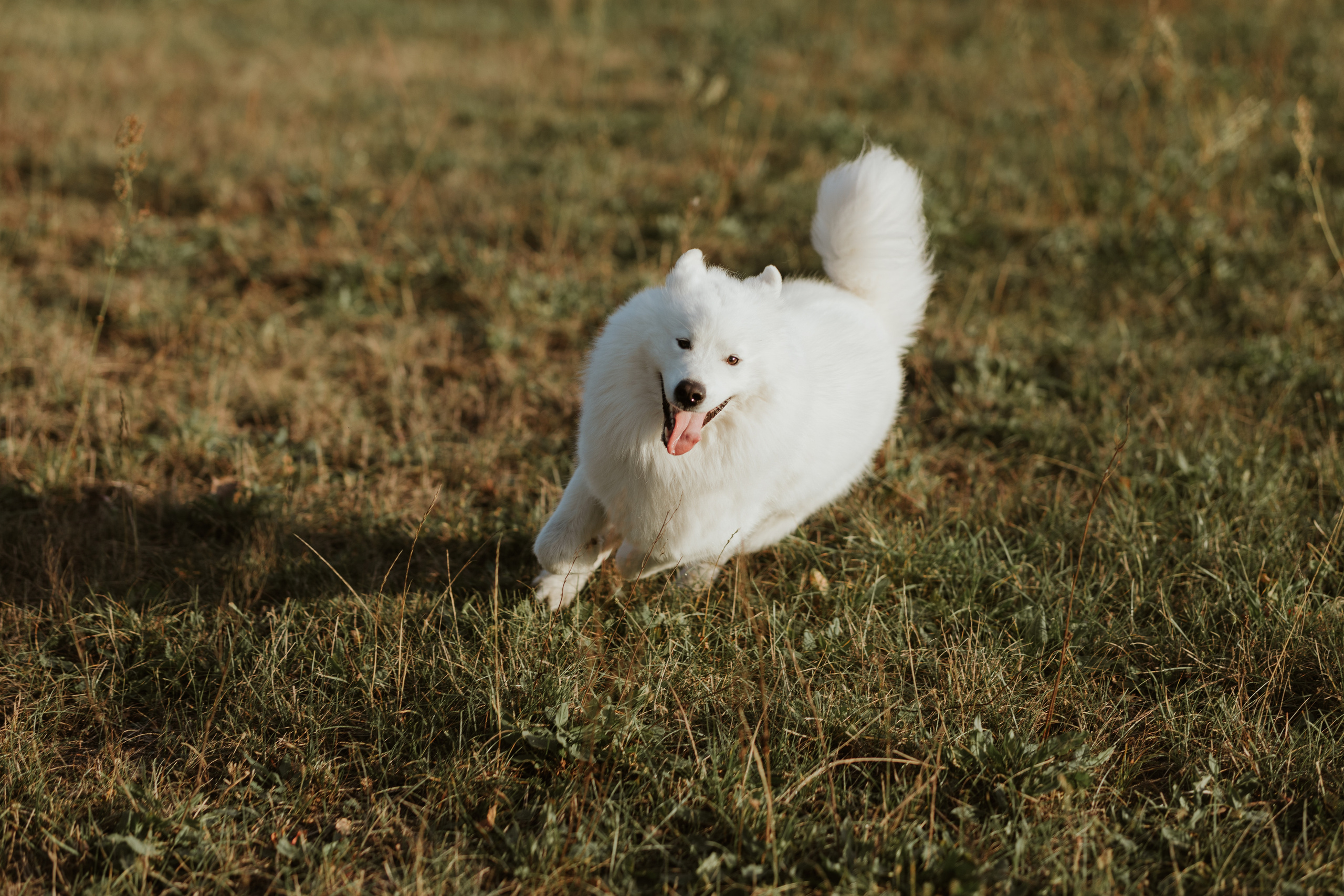 Laukimo (nėščiosios) fotosesija Marijampolėje