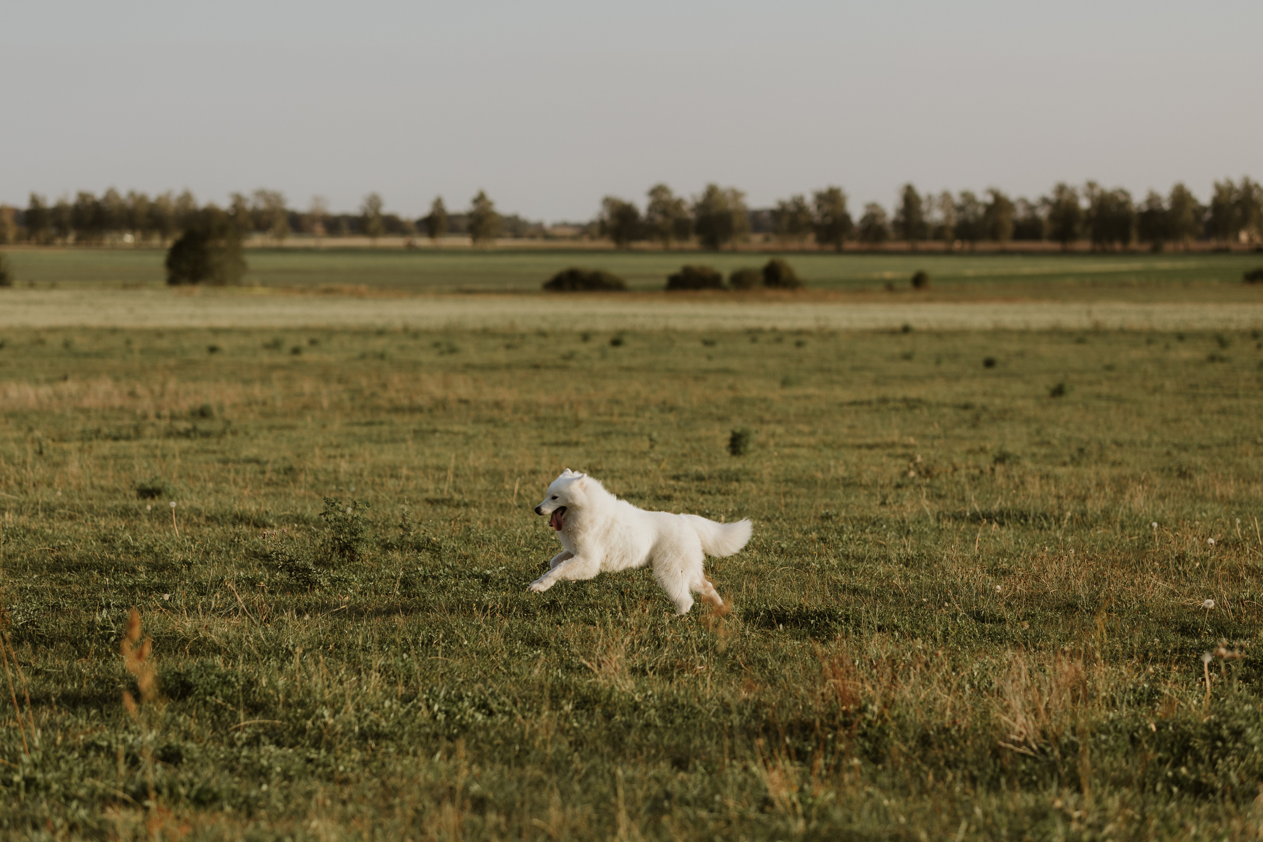 Laukimo (nėščiosios) fotosesija Marijampolėje