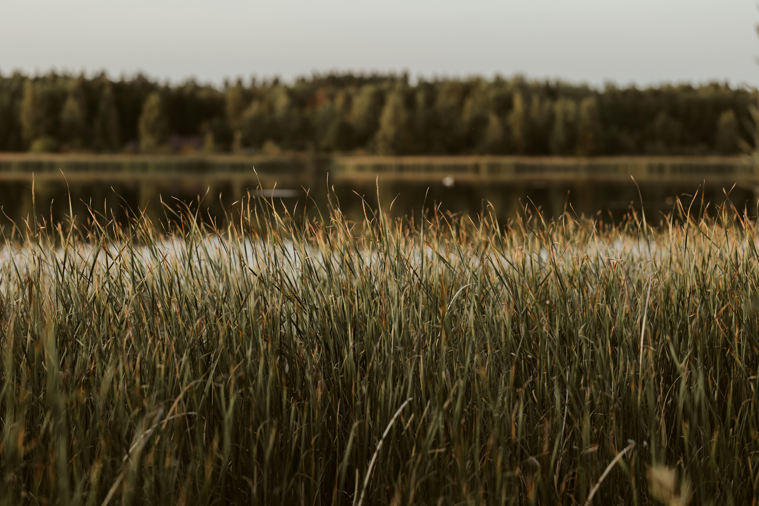 Laukimo (nėščiosios) fotosesija Marijampolėje