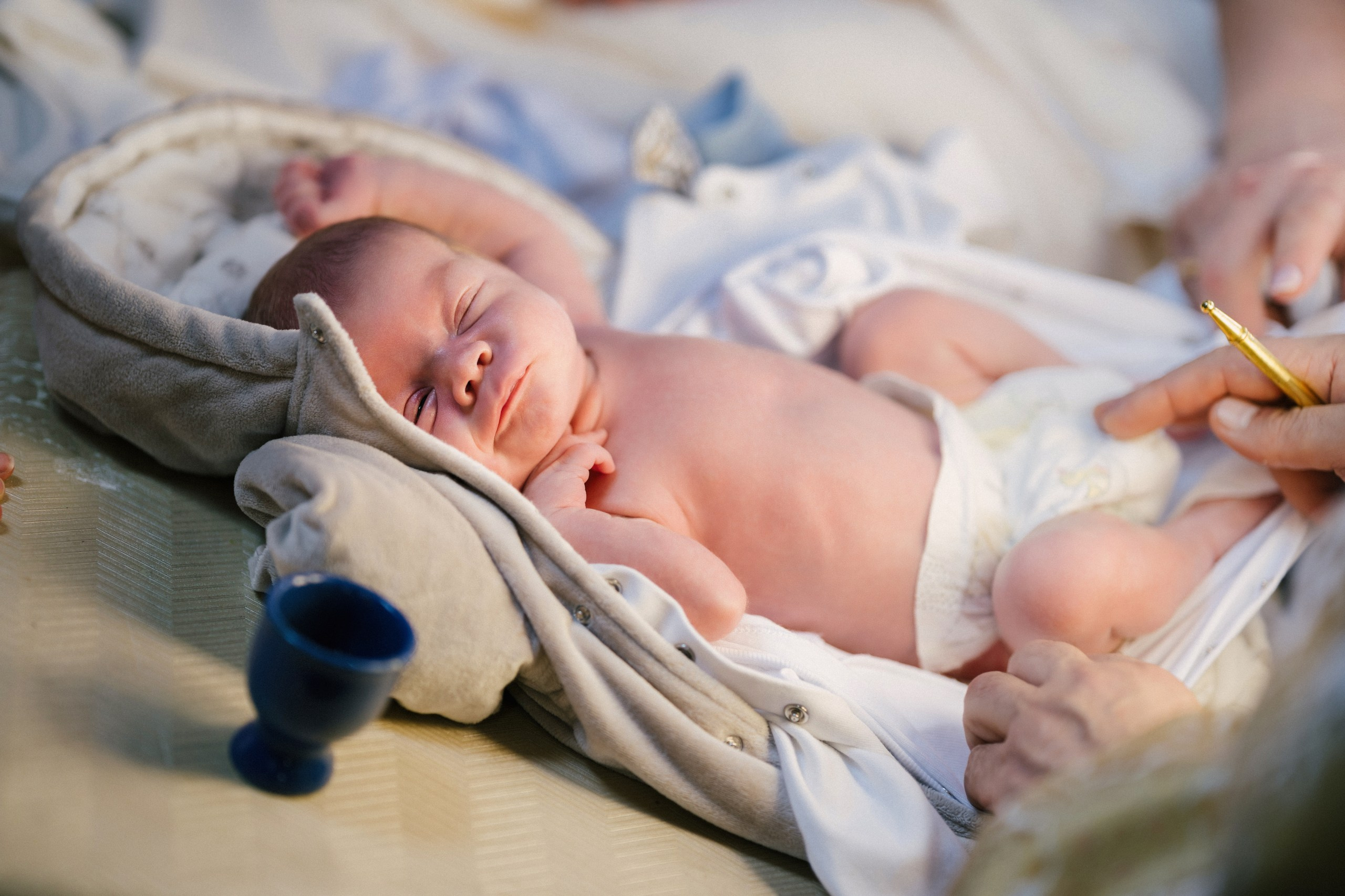 botez Luca Nectarie 22 februarie 2026 fotograf profesionist	•	fotograf botez Botoșani Luca Nectarie biserică	•	părinți Răzvan și Ramona botez copil emoții familie	•	nași Marin și Rodica botez copil fotografie profesională	•	detalii botez lumânare cristelniță biserică România	•	copil Luca Nectarie în brațe la botez moment emoționant	•	familie fericită la botez copil fotograf Alin Chirilă	•	fotografie botez naturală lumină caldă biserică	•	portret copil botez Luca Nectarie fotograf profesionist	•	momente autentice botez România familie și nași	•	slujbă botez copil imagini emoționante biserică	•	fotograf botez Iași și Botoșani Alin Chirilă - nunta--fotograf-profesionist-botosani  - fotografie-nunta-romantica - imagini-nunta-in-natura-alin-chirila-fotograf  - fotografii-cuplu-indragostit-nunta-botosani  - sedinta-foto-miri-andrei-iustina-alinofotostudio  - amintiri-din-nunta-realizate-de-fotograf-profesionist  - povestea-nuntii-andrei-si-iustina-in-imagini-alinofotostudio-fotograf evenimente- evenimente Botoșani -fotograf Suceava - fotograf Iași- servicii foto. servicii foto Botoșani. servicii foto video Botoșani. otograf-nunta-botosani-fotograf nunta. fotograf evenimente. fotograf nunta Botoșani. Alin chirila. Alin chirila fotograf. Alinofotostudio.- servicii foto. servicii foto Botoșani. servicii foto video Botoșani. fotograf nunta. fotograf evenimente. fotograf nunta Botoșani. Alin chirila. Alin chirila fotograf. Alinofotostudio.fotograf stare civilă,poze stare civilă,album foto stare civilă,servicii foto suceava,fotograf evenimente suceava,fotograf nuntă suceava,poze cununie civilă,ședință foto stare civilă,sesiune foto suceava,fotograf profesionist suceava,fotograf botosani,stare civila botosani,alinofotostudio,alin chirila fotograf.servicii foto. servicii foto Botoșani. servicii foto video Botoșani. fotograf nunta. fotograf evenimente. fotograf nunta Botoșani. Alin chirila. Alin chirila fotograf. Alinofotostudio.fotograf stare civilă,poze stare civilă,album foto stare civilă,servicii foto suceava,fotograf evenimente suceava,fotograf nuntă suceava,poze cununie civilă,ședință foto stare civilă,sesiune foto suceava,fotograf profesionist suceava,fotograf botosani,stare civila povestitor prin fotografiebotosani,alinofotostudio,alin chirila fotograf,servicii foto. servicii foto Botoșani. servicii foto video Botoșani. fotograf nunta. fotograf evenimente. fotograf nunta Botoșani. Alin chirila. Alin chirila fotograf. Alinofotostudio.fotograf stare civilă,poze stare civilă,album foto stare civilă,servicii foto suceava,fotograf evenimente suceava,fotograf nuntă suceava,poze cununie civilă,ședință foto stare civilă,sesiune foto suceava,fotograf profesionist suceava,fotograf botosani,stare civila botosani,alinofotostudio,alin chirila fotograf,cununie religioasă botoșani,andreea și neculai,capela militară botoșani,foto conacul zăicești,fotograf nuntă botoșani,fotograf cununie religioasă,foto evenimente botoșani,poze cununie capela militară,ședință foto zăicești,fotograf profesionist botoșaniMire și mireasă – Sergiu & Liliana – ziua nunții, 2024  - Emoții în ziua nunții – Sergiu și Liliana  - Dansul mirilor – fotografie artistică nuntă 2024  - Sedinta foto romantică în natură – Sergiu & Liliana  - Rochia de mireasă și detalii de nuntă elegan-Album de cununie civilă Florin și Anda – Fotografii profesionale realizate de Alin Chirilă în Botoșani -fotograf prin fotografie-Ședință foto Trash the Dress pe muntele Rarău cu Iulian și Iuliana – fotografie de cuplu, natură montană, emoție autentică surprinsă de Alin Chirilă, povestitor prin fotografie.- "Iulian și Iuliana pe crestele Rarăului – fotografie Trash the Dress în natură"  - "Cuplu îmbrățișat la apus pe muntele Rarău – ședință foto după nuntă"  - "Rochie de mireasă în vânt pe munte – Trash the Dress Rarău-1. Iulian și Iuliana pe muntele Rarău – ședință foto Trash the Dress în natură, cu peisaj montan spectaculos  2. Cuplu în îmbrățișare pe Rarău – emoție autentică surprinsă după nuntă  3. Rochie de mireasă în bătaia vântului – fotografie artistică Trash the Dress în munți  4. Mire și mireasă privind spre orizont – dragoste și libertate pe muntele Rarău  5. Iuliana zâmbind în rochia de mireasă – portret în natură, Trash the Dress  6. Iulian ținându-și mireasa de mână – ședință foto romantică pe munte  7. Detaliu cu rochia pe stâncă – estetică naturală Trash the Dress Rarău  8. Cuplu în mers pe poteca Rarăului – fotografie simbolică de după nuntă  9. Apus de soare pe Rarău în spatele mirilor – imagine de poveste Trash the Dress  10. Iulian și Iuliana râzând împreună – momente autentice surprinse de Alin Chirilă, povestitor prin fotografie-fotograf-nunta-cerbu-botosan trash-the-dress-botosani Alin Chirilă Fotograf – fotograf de nuntă Botoșani-fotograf nuntă Botoșani-fotograf nuntă Cerbu Botoșani-fotograf profesionist nuntă Botoșani-fotografie de nuntă Botoșani-fotograf evenimente Botoșani-fotograf nuntă Moldova-fotograf trash the dress Botoșani	- fotograf pregătirea mirilor Botoșani	-fotograf ceremonie religioasă nuntă-fotograf petrecere nuntă Botoșani- fotograf nuntă Botoșani pregătirea mirelui- pregătirea mirelui fotografie nuntă Cerbu Botoșani-fotograf nuntă Botoșani pregătirea miresei -mireasă pregătiri nuntă Cerbu Botoșani-fotograf nuntă Botoșani nașii mirilor-ceremonie religioasă nuntă Cerbu Botoșani-fotograf nuntă Botoșani ceremonie religioasă biserică-petrecere nuntă Cerbu Botoșani invitați dans-fotograf nuntă Botoșani petrecere restaurant-ședință foto trash the dress-fotograf trash the dress Botoșani ședință foto după nuntă-Fotograf nuntă Botoșani – galerie foto reală de la evenimente stare civilă Sebi și Claudia Copălău	•	cununie civilă Primăria Copălău Botoșani	•	miri emoționați la starea civilă	•	semnarea actelor cununie civilă	•	fotografii naturale stare civilă Botoșani	•	familie și prieteni la cununie civilă	•	cadre emoționale cununie civilă	•	fotograf profesionist Botoșani eveniment stare civilă Sebi și Claudia la Primăria Copălău Botoșani fotograf evenimente	•	fotograf cununie civilă Copălău Botoșani cadre naturale și emoționale	•	fotograf profesionist Botoșani stare civilă Sebi și Claudia	•	momente autentice cununie civilă Copălău fotograf Alin Chirilă	•	fotografii emoționale stare civilă în județul Botoșani