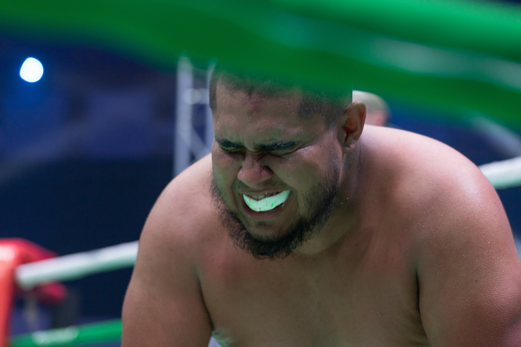 Zweites Allrussisches Boxforum. Fotofrafin in Deutschland