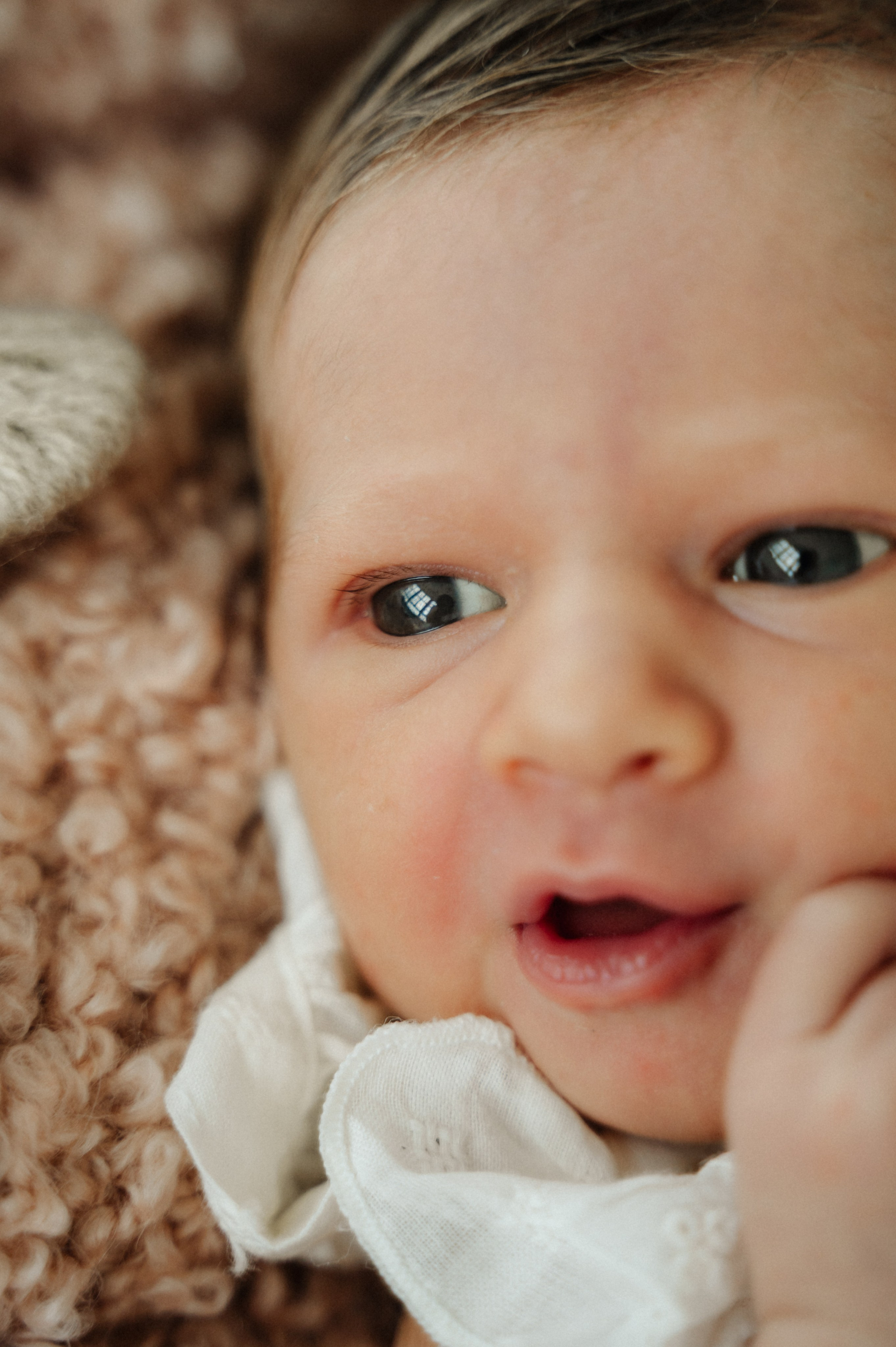 Newborn. Anastasia Kurbanov Photography