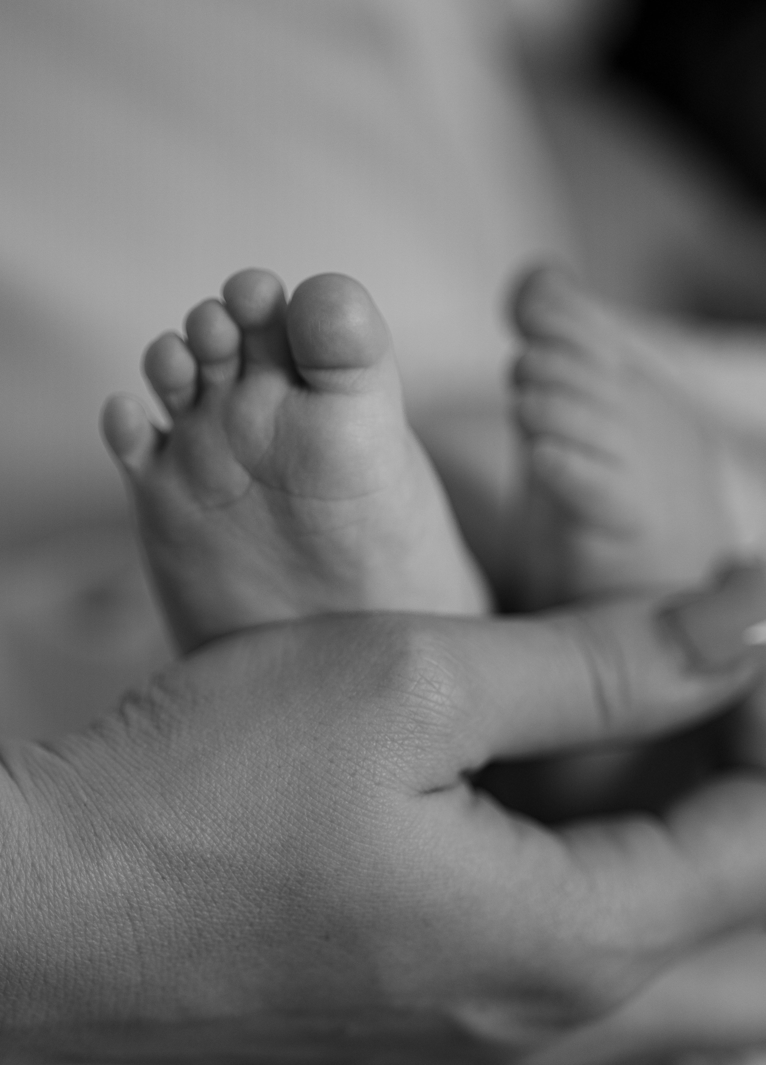 Newborn. Family and Wedding photographer