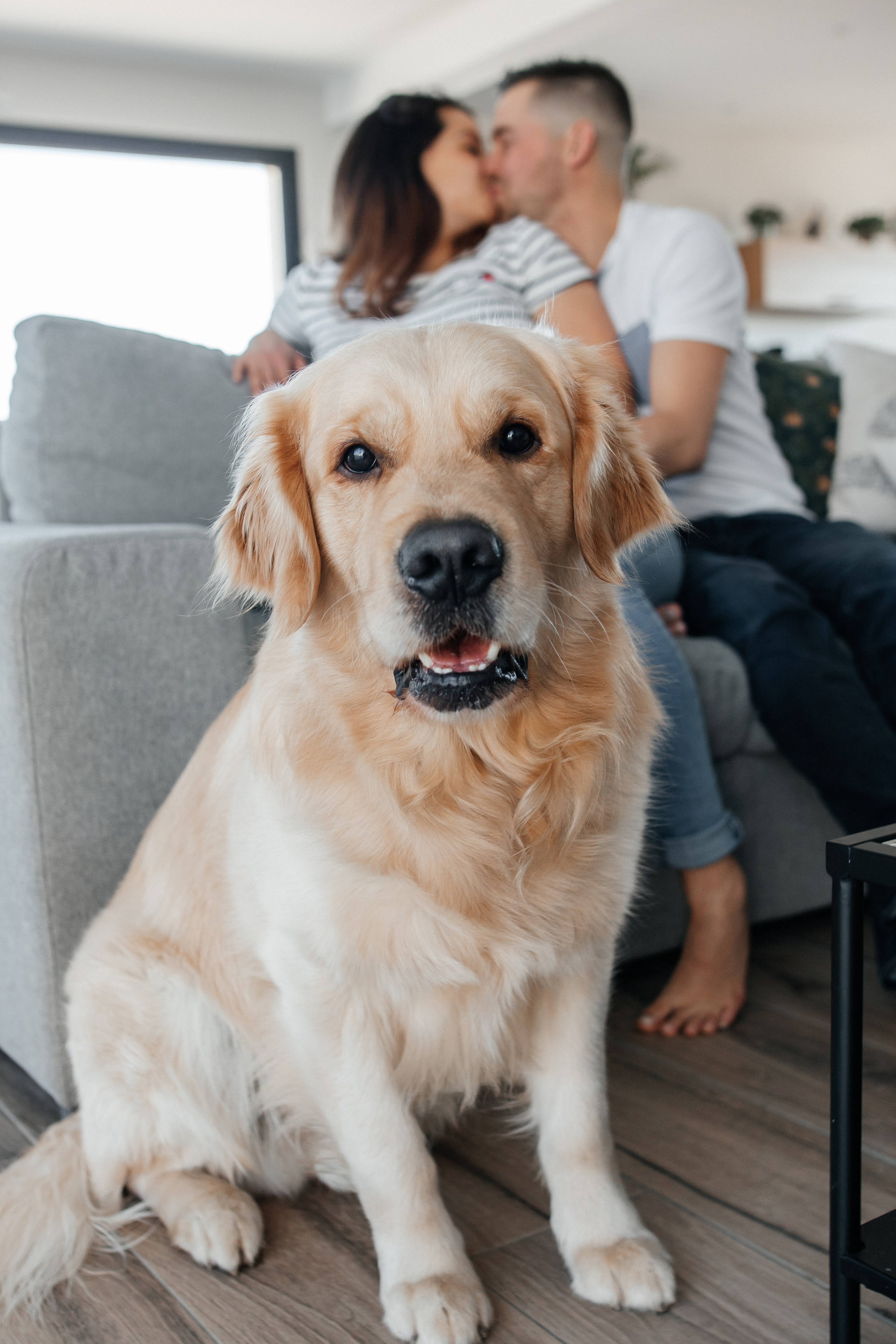 L’Amour qui Grandit. Photographe à Chartres Ekaterina Kudinova
