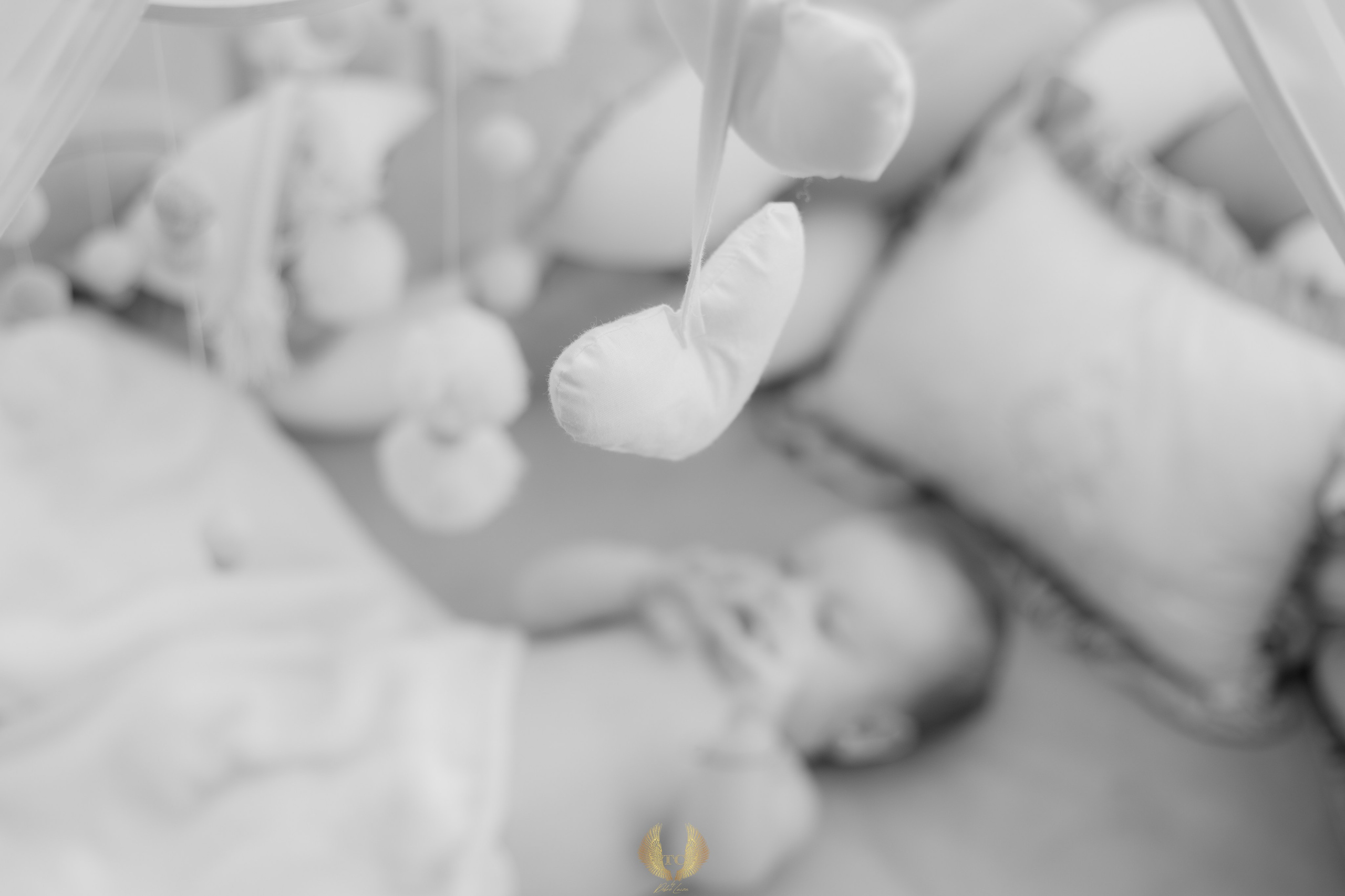 Eva Ioana. Fotograf si videograf — evenimente si studio