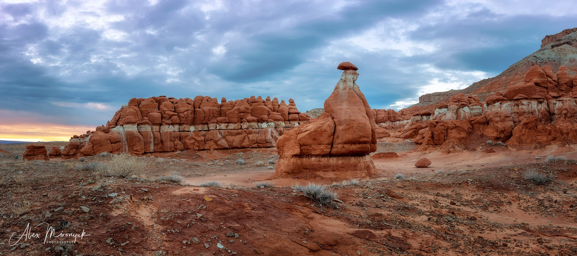 Eagle’s View: The American Southwest. Pet, Senior, Landscape, portrait studio, photographer in Miami and Sou