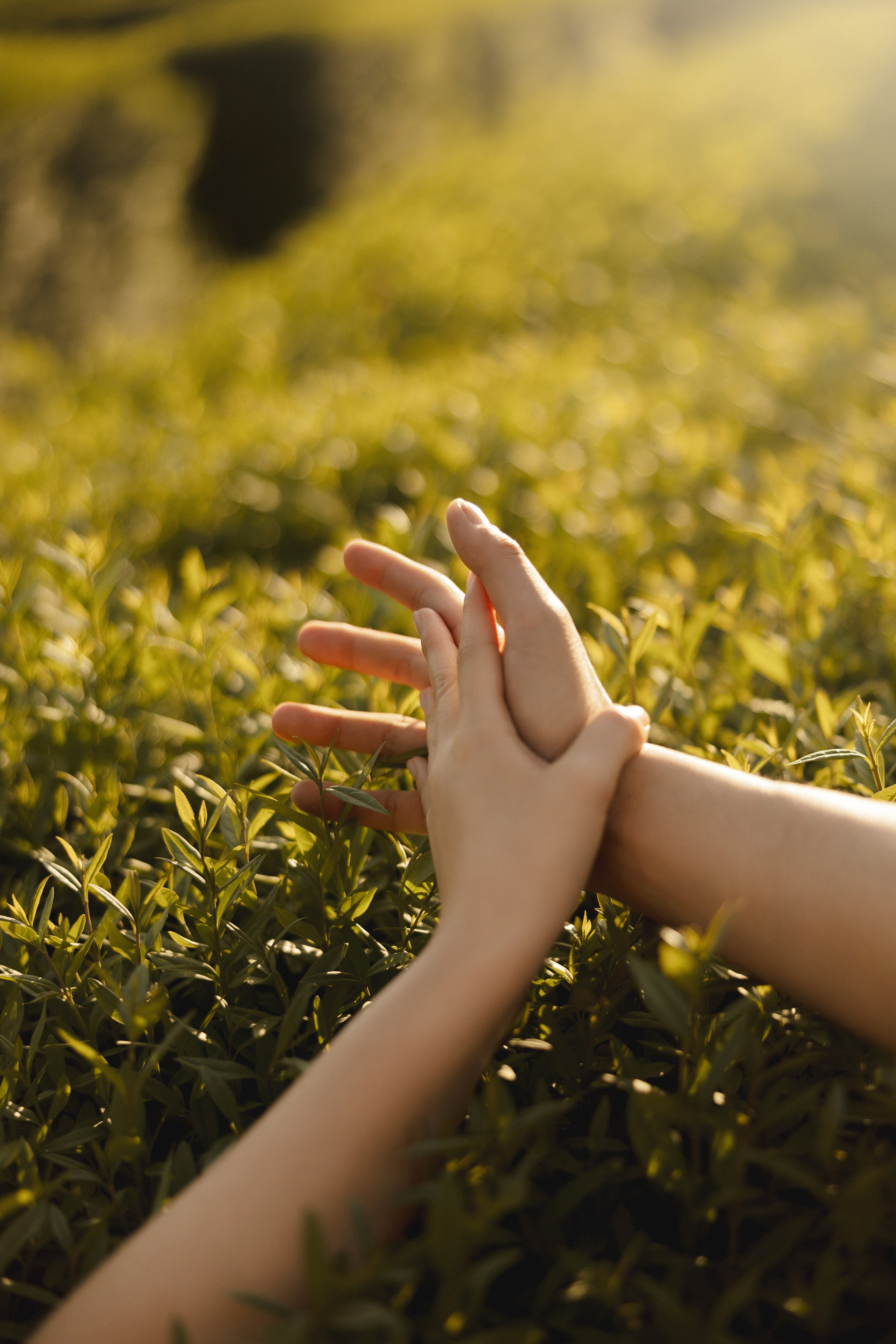 Медер и Айжан. Азимжан Нуритдинходжаев — свадебный фотограф