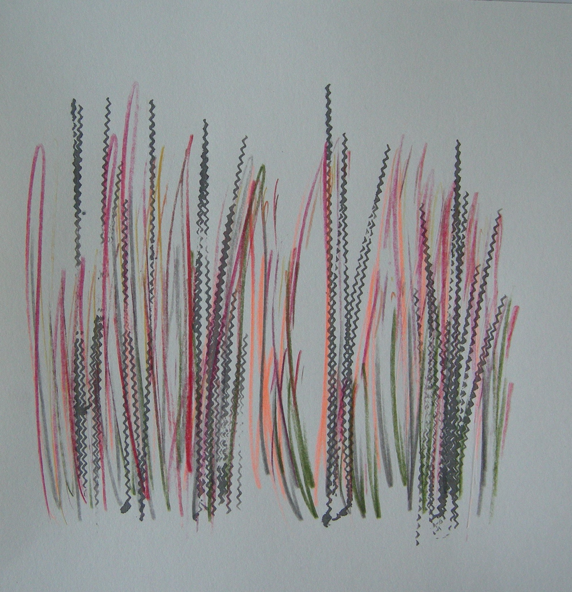 O.T. 2024 - 30x30