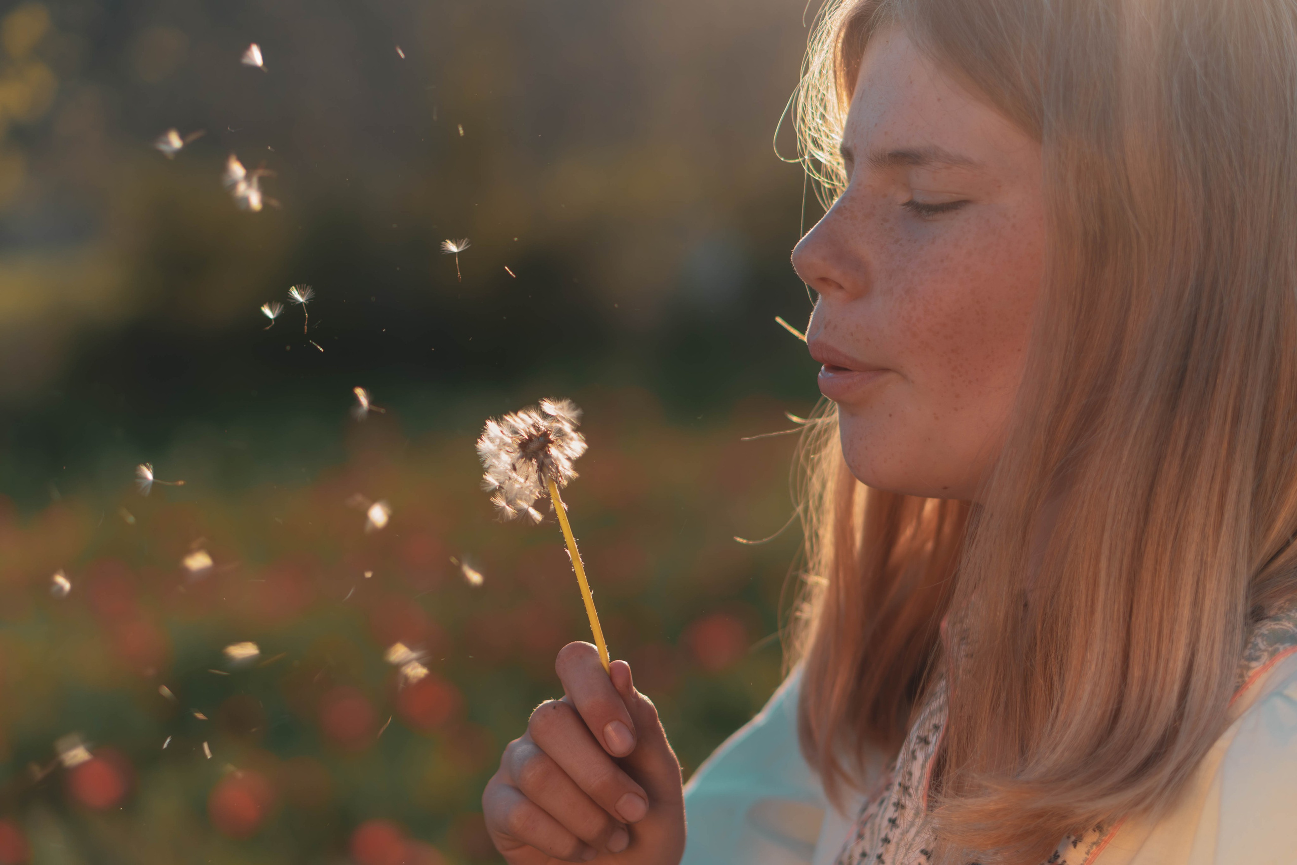 Agnia & Amapolas. Alba del Norte Studio