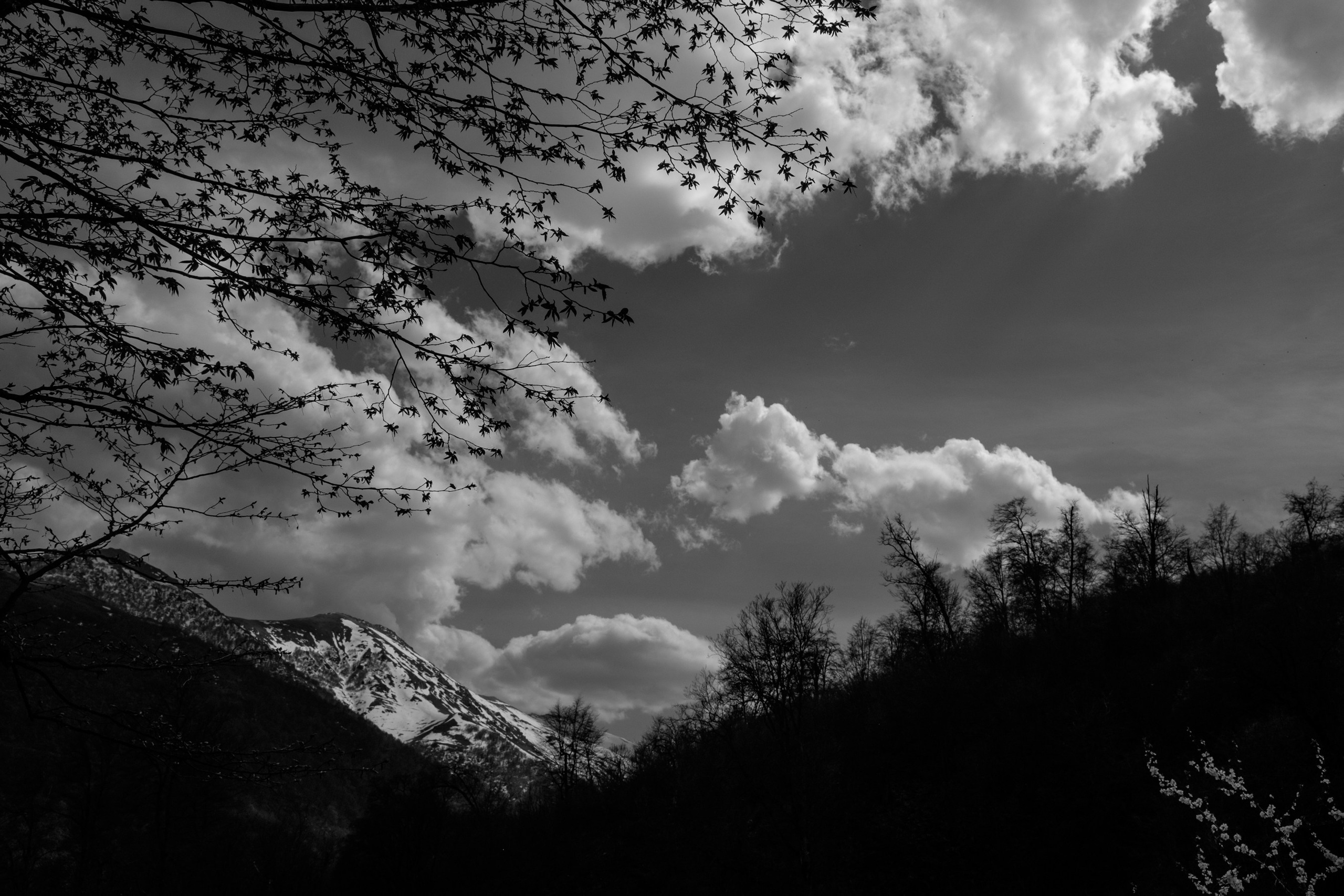 “Mob.” (Military mobilization), 2016. Areg Balayan — Photographer/Visual Artist