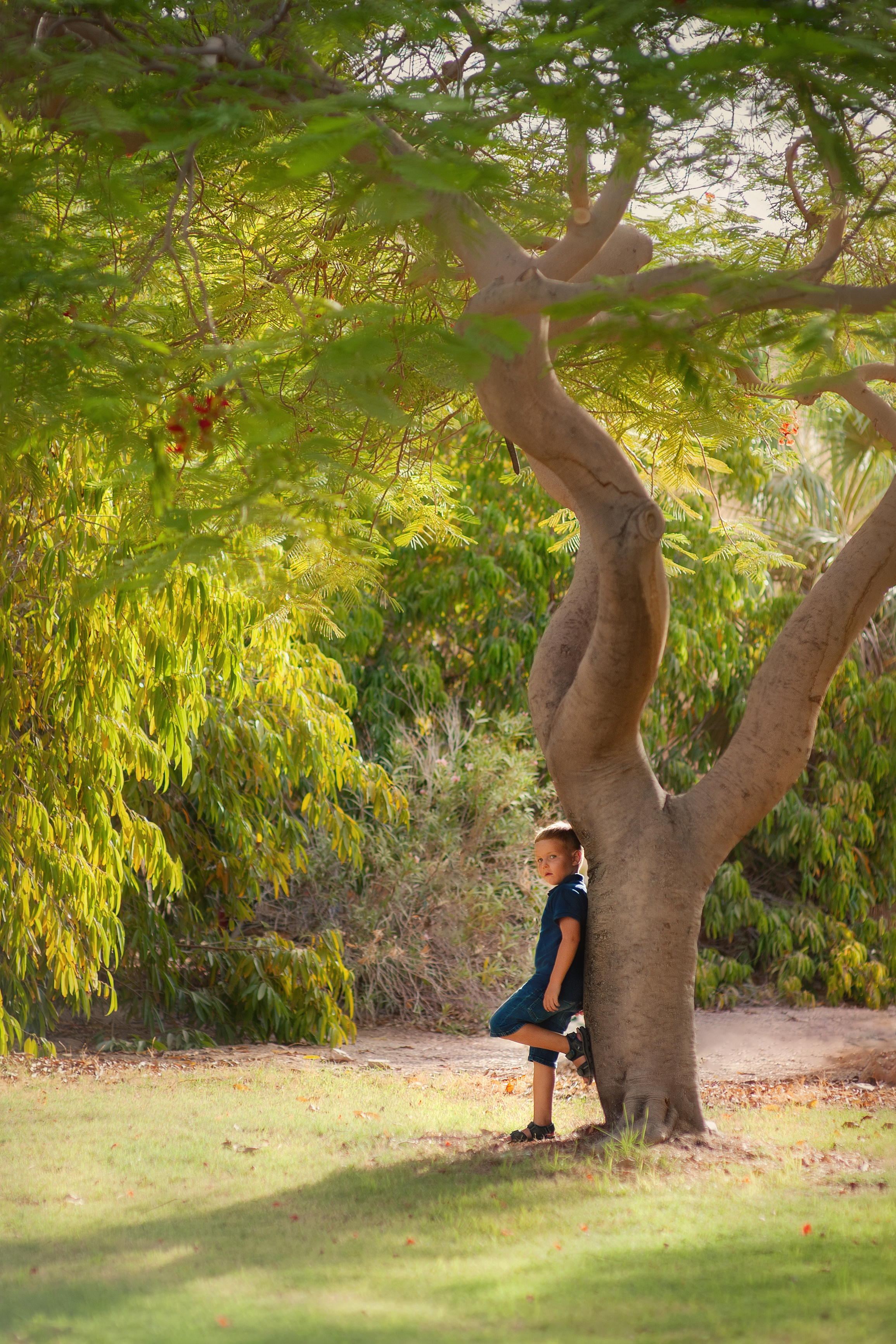 Family photoshooting for Marina in a kibbutz Eilot. צלמת משפחה ילדים הריון וסיפורי אהבה באילת ישראל אולגה אמצ'יסלבסקי