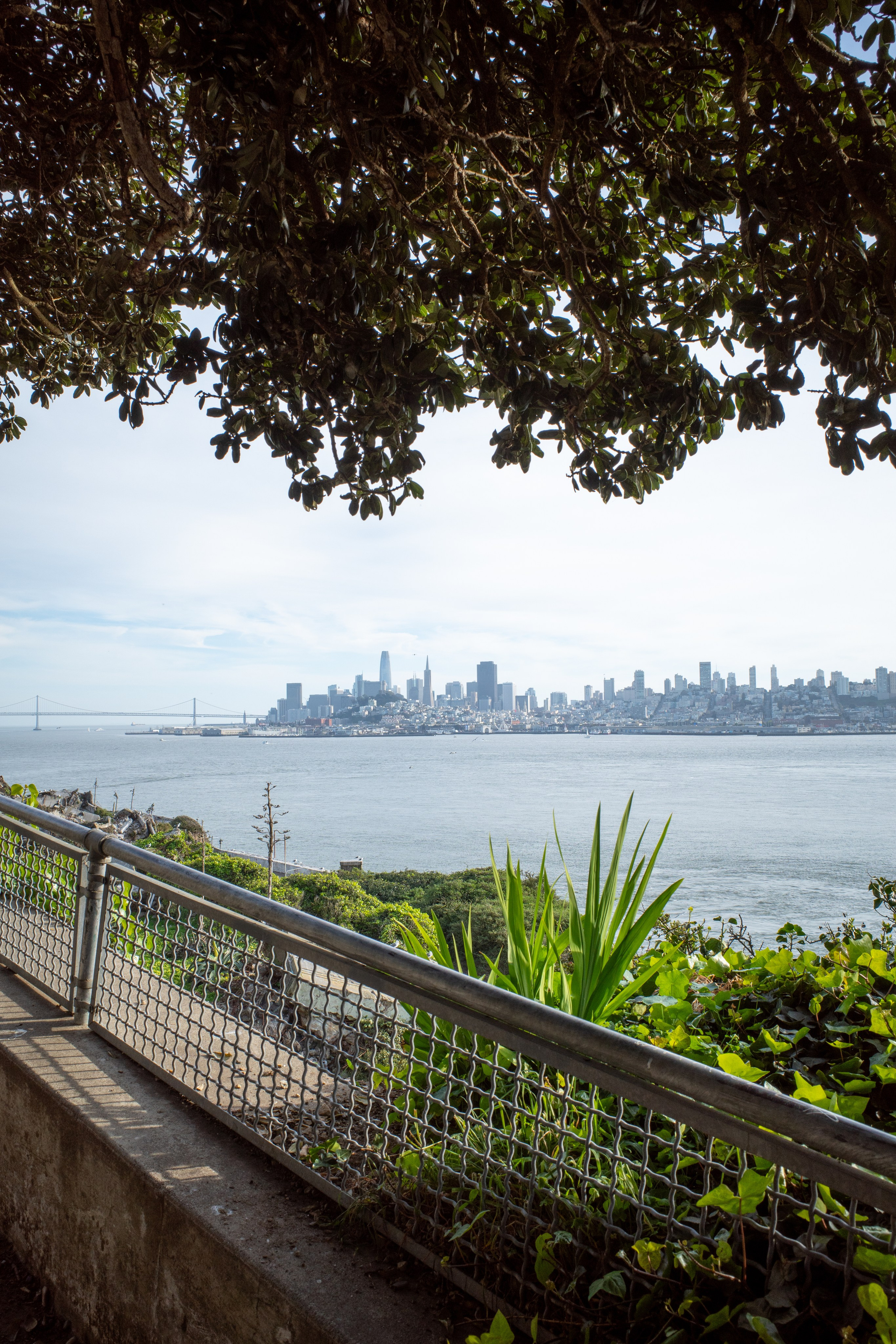 San Francisco. Aleks.photo | Book a photoshoot