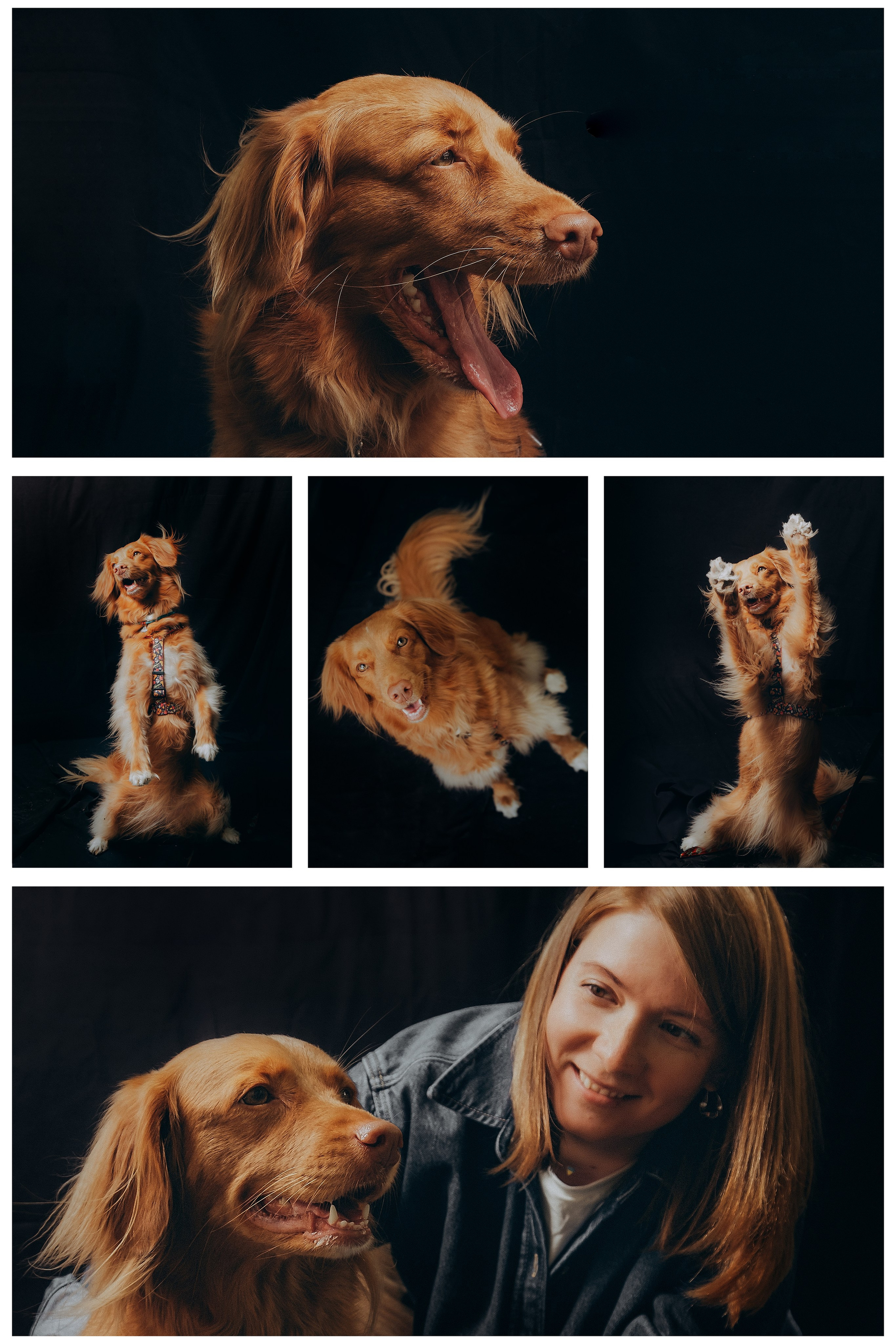 TOLOKA. Портрет за донат. Валерія Сичова. Сімейний та репортажний фотограф в Португаліі