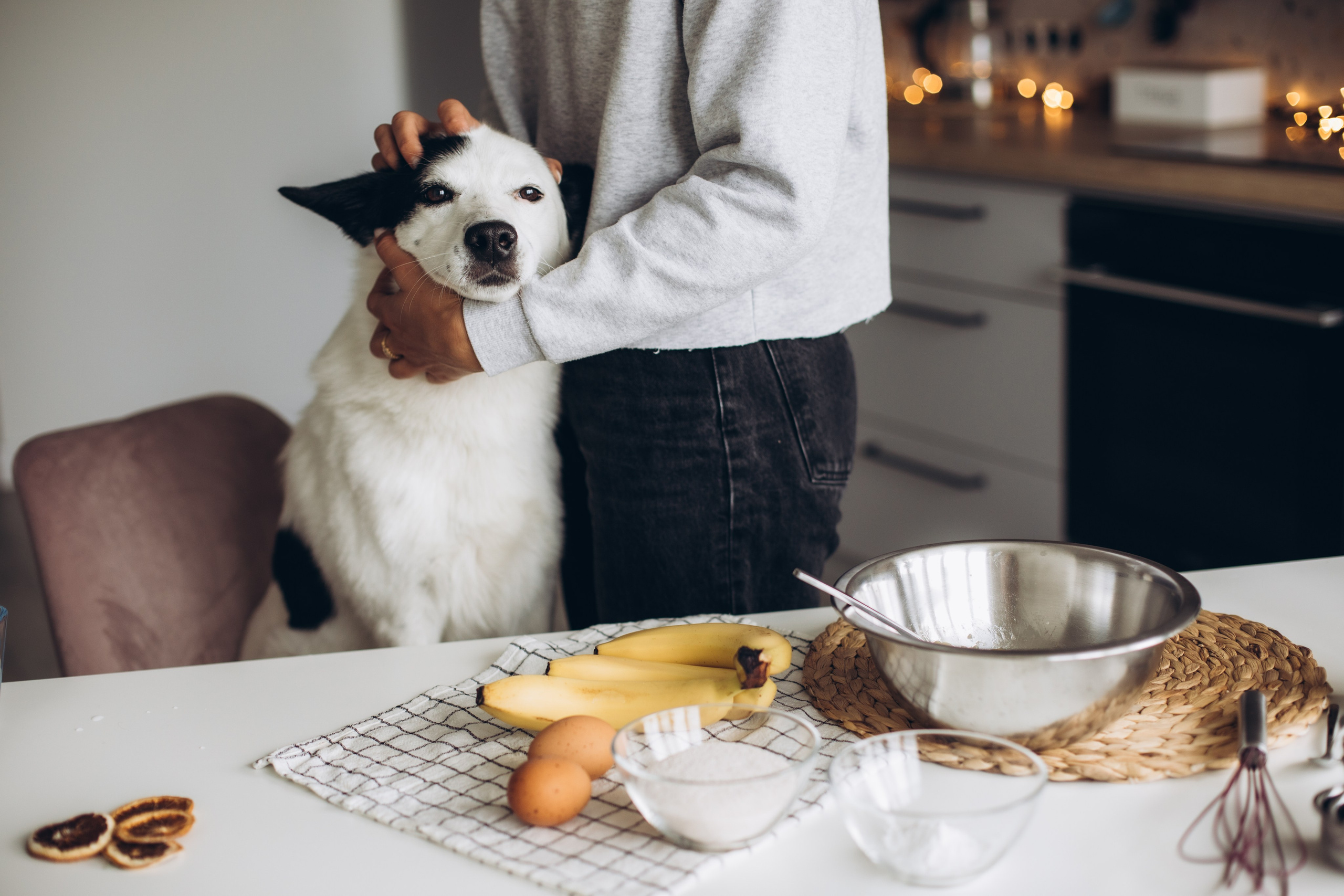 Kate&Tesla. Семейный фотограф в Кишинёве Пулькина Ольга