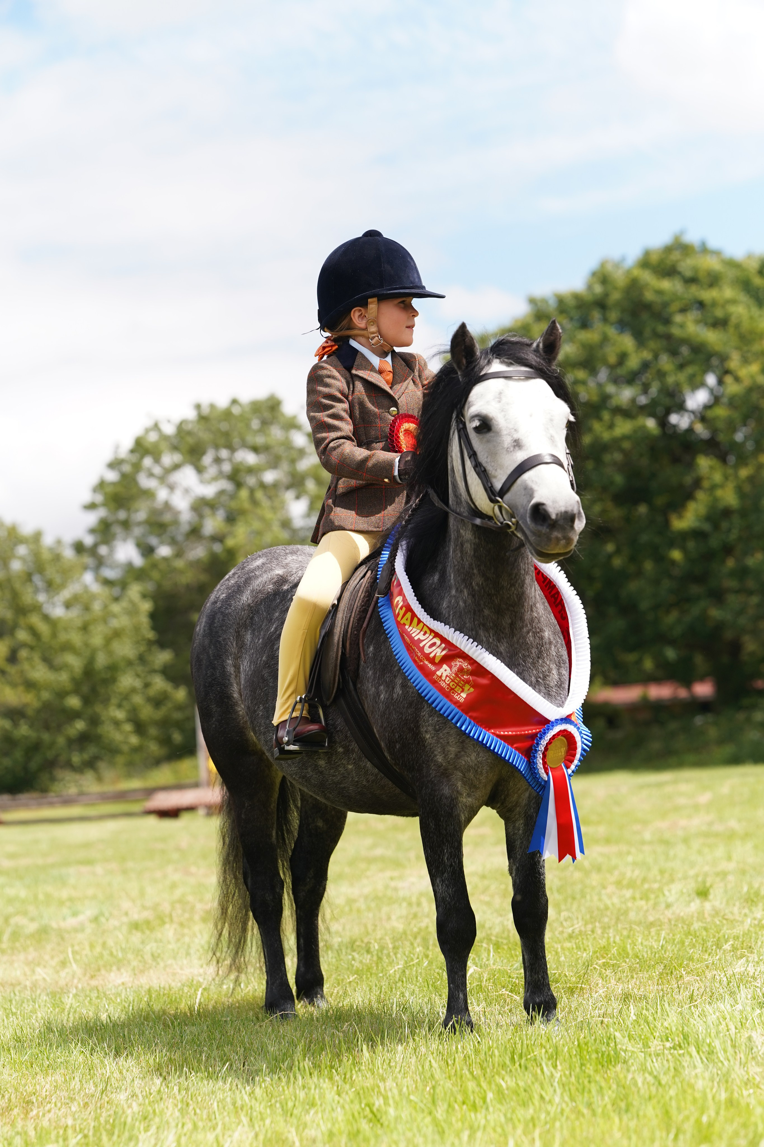 Showing. Leicestershire Equine Photography by El | Authentic Equine Portraits & Events