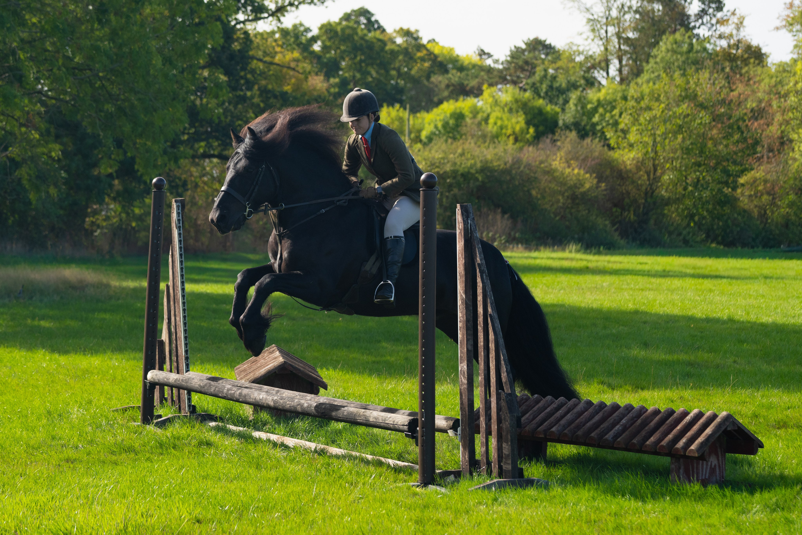 Show Jumping Photography in Leicestershire | Equine Action Shots by El. Leicestershire Equine Photography by El | Authentic Equine Portraits & Events