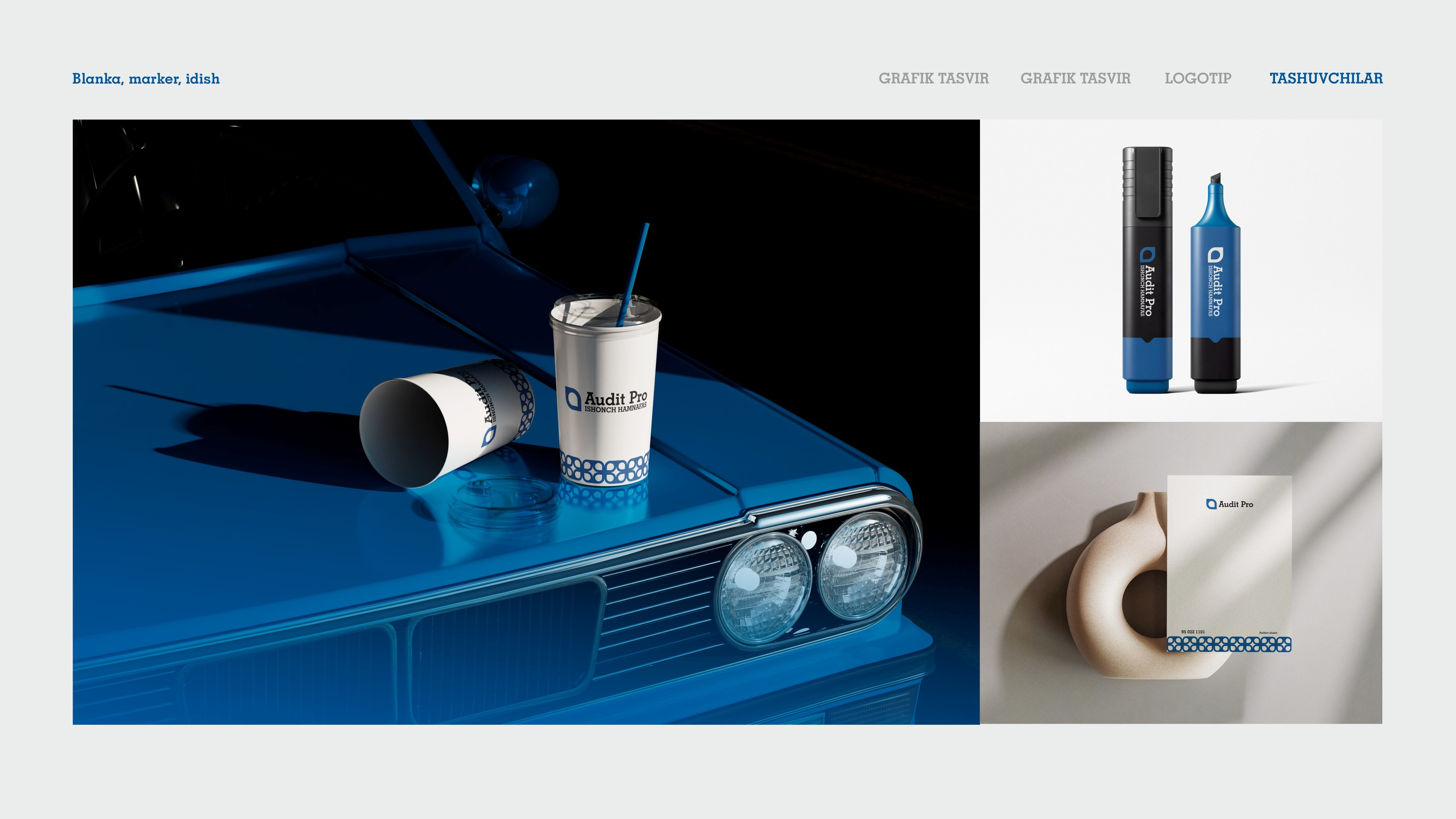 Audit Pro - Logotip. Dirov — Hayot Khodirov