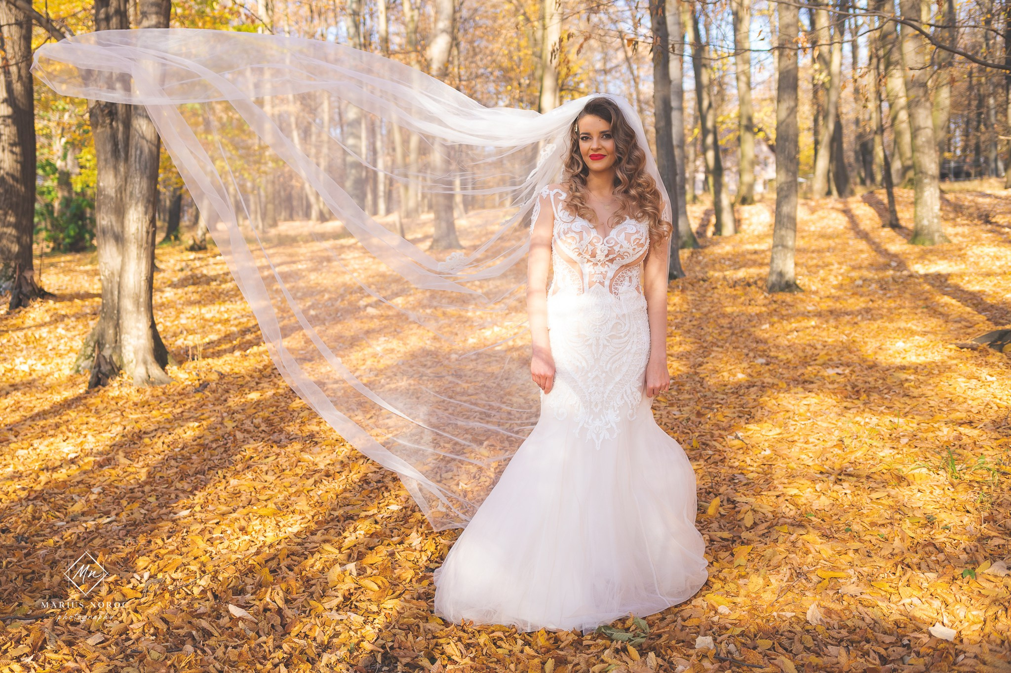 Alexandra & Alin | Padurea Bucium Iasi