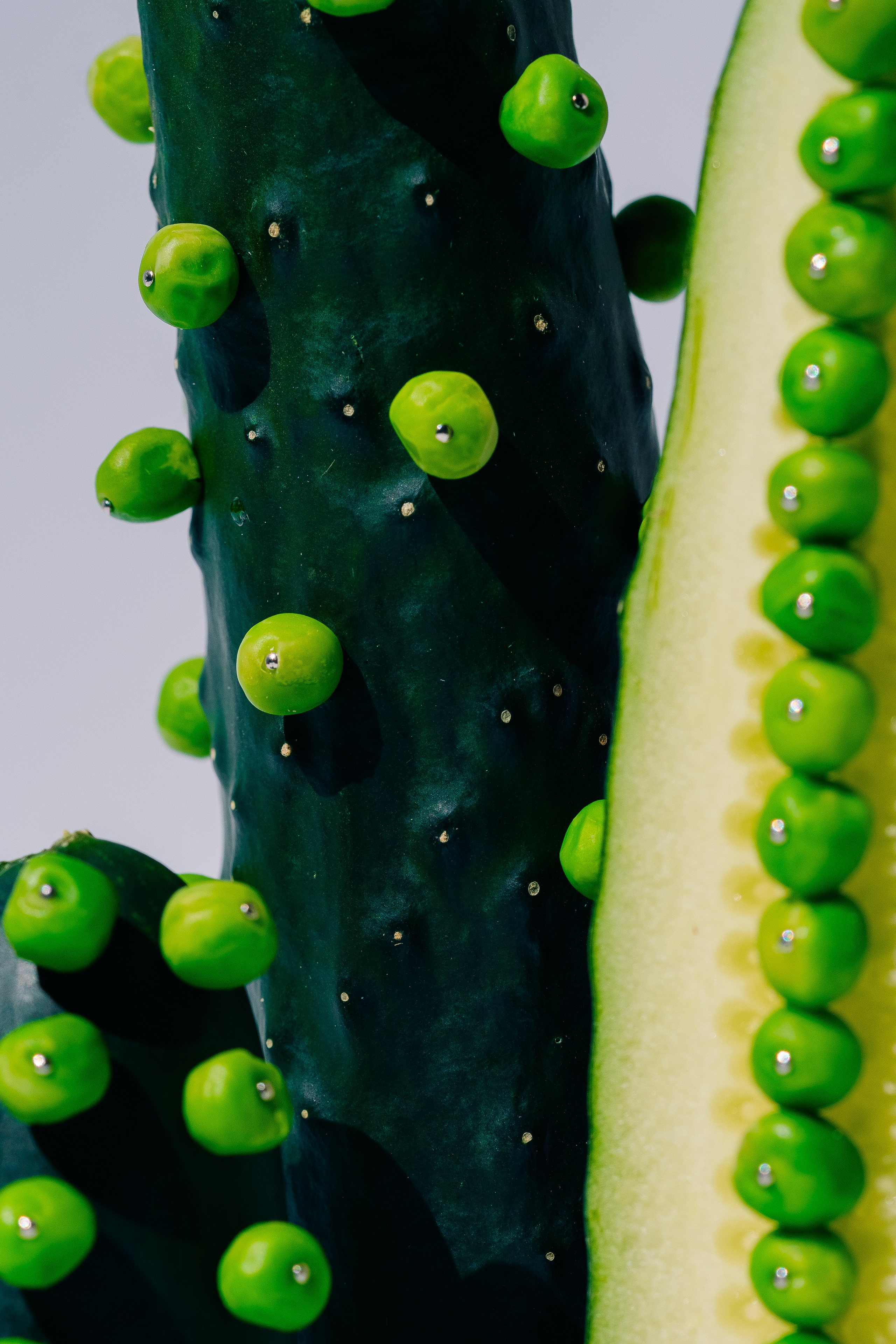Close-up of abstract Composition of Cucumbers and Peas. A surreal arrangement of cucumbers and peas.