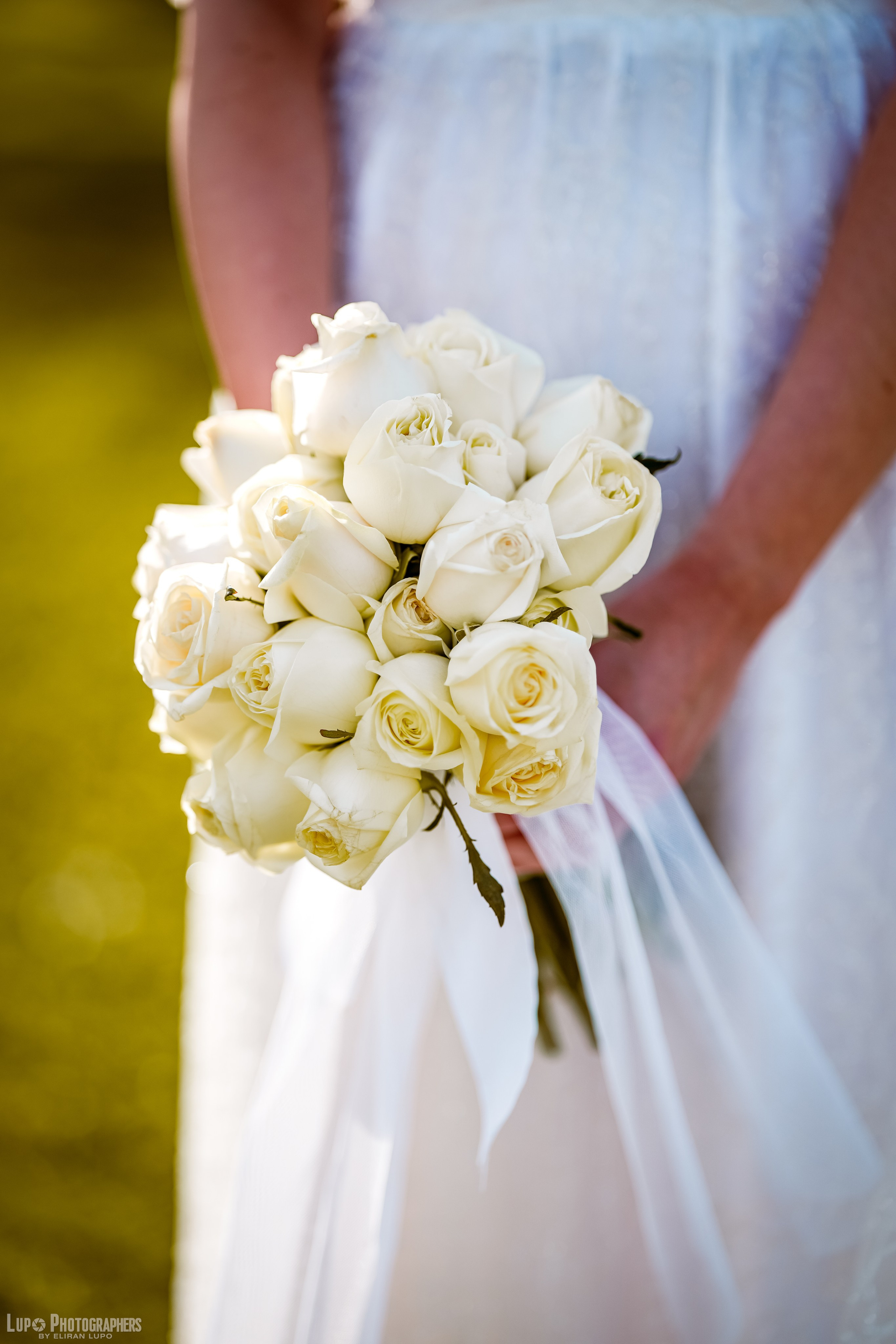 Lin & Eden. לופו צלמים — צילום חתונות ואירועים