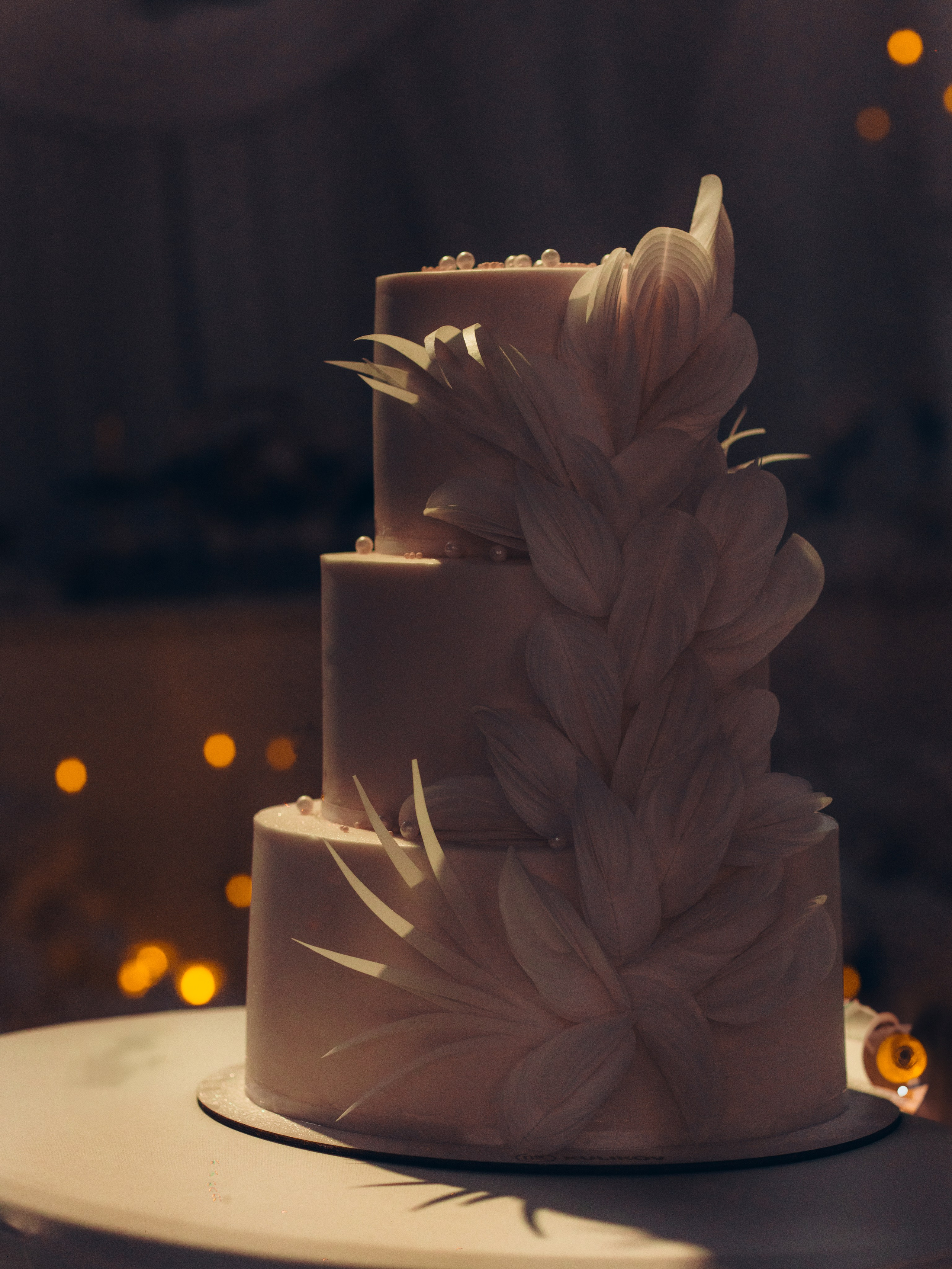 Лилиана и Шалхар. Валерия Вартанова. Фотограф