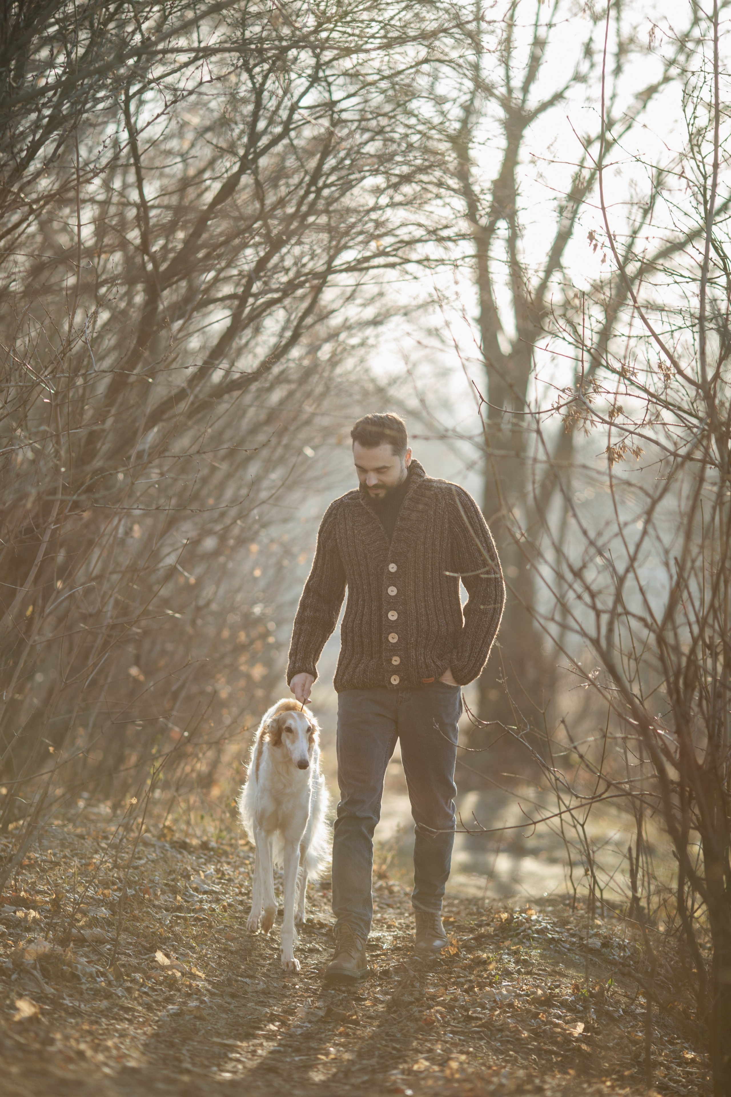 Sviteroff. Autumn collection 2019. Tatiana Smirnova — Photographer