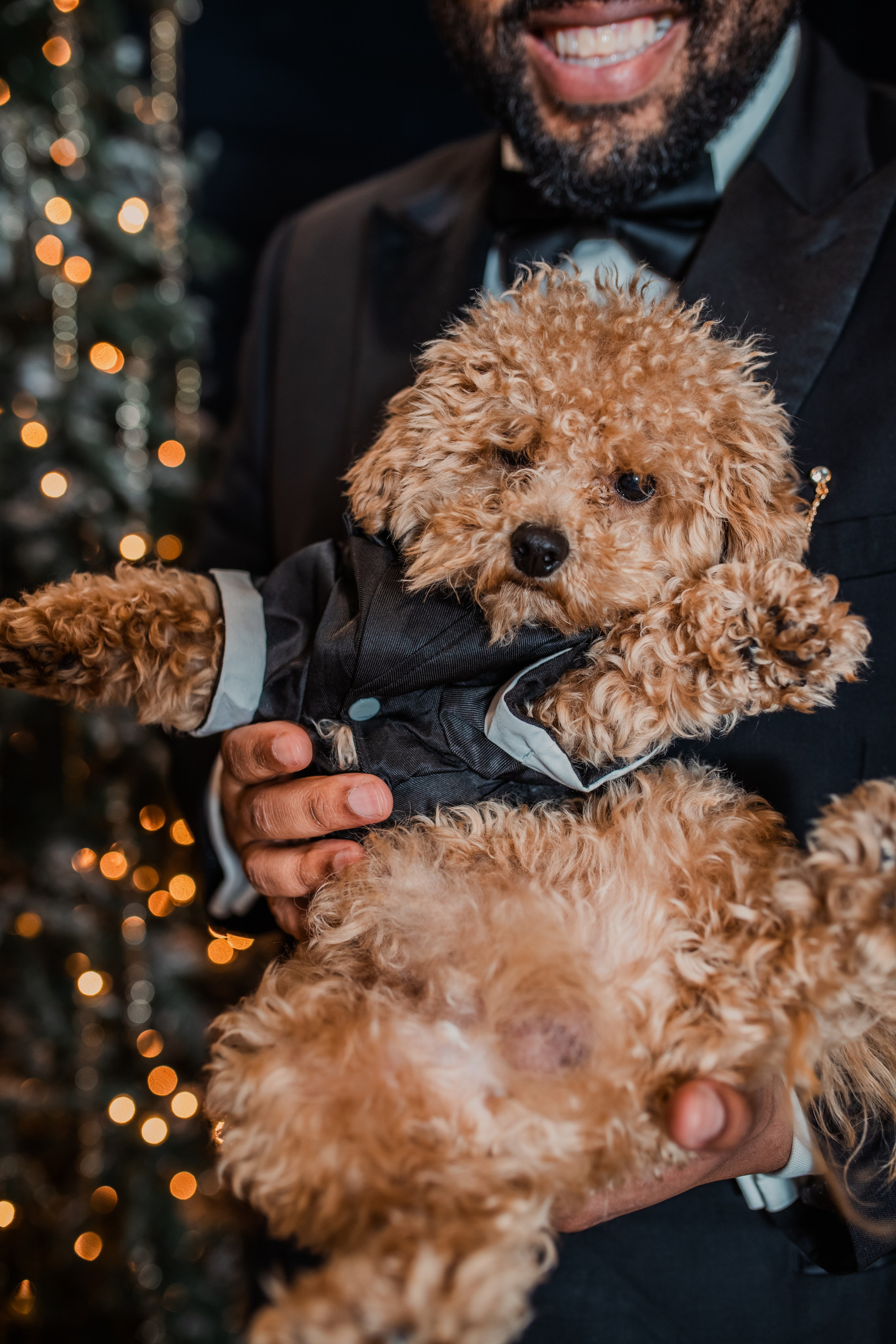 Christmas Magic. Oxana Photographer in Charlotte, NC