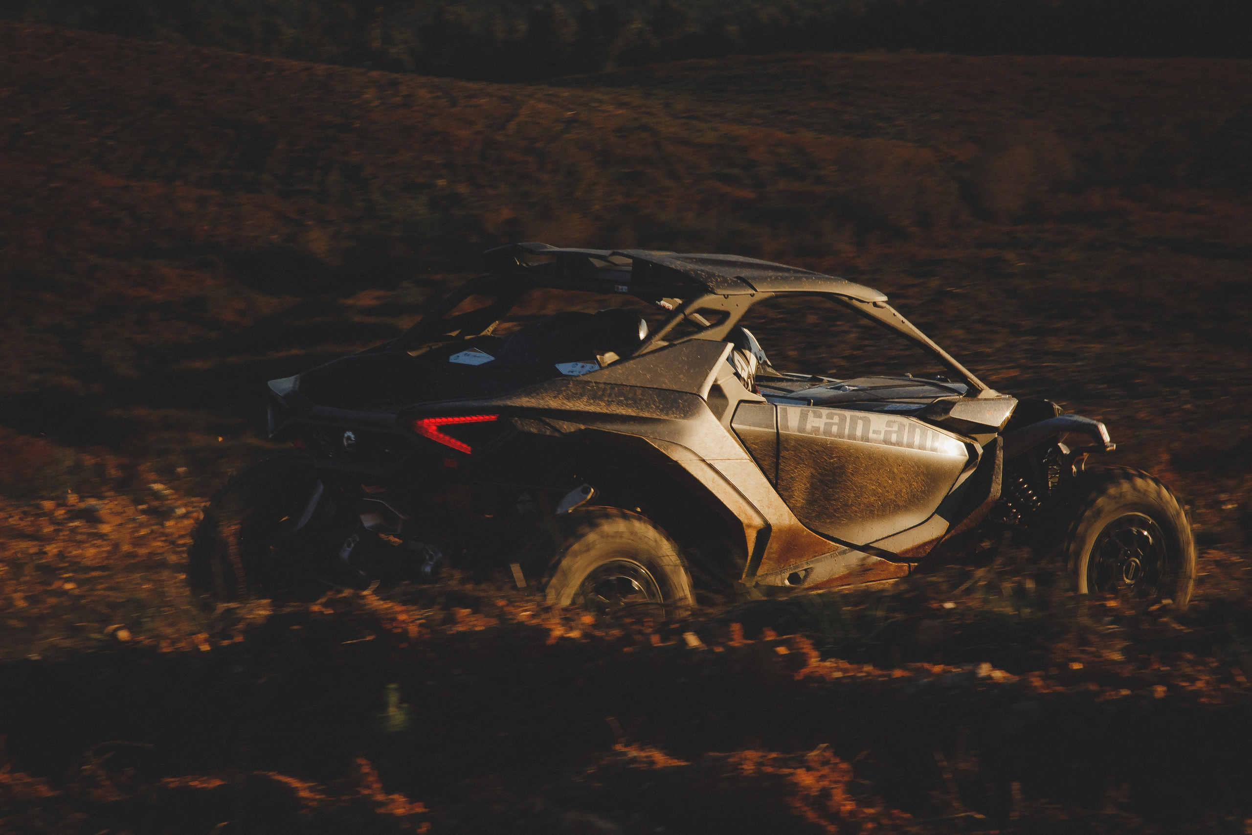 Reportage sport. Wedding photographer and videographer Europe