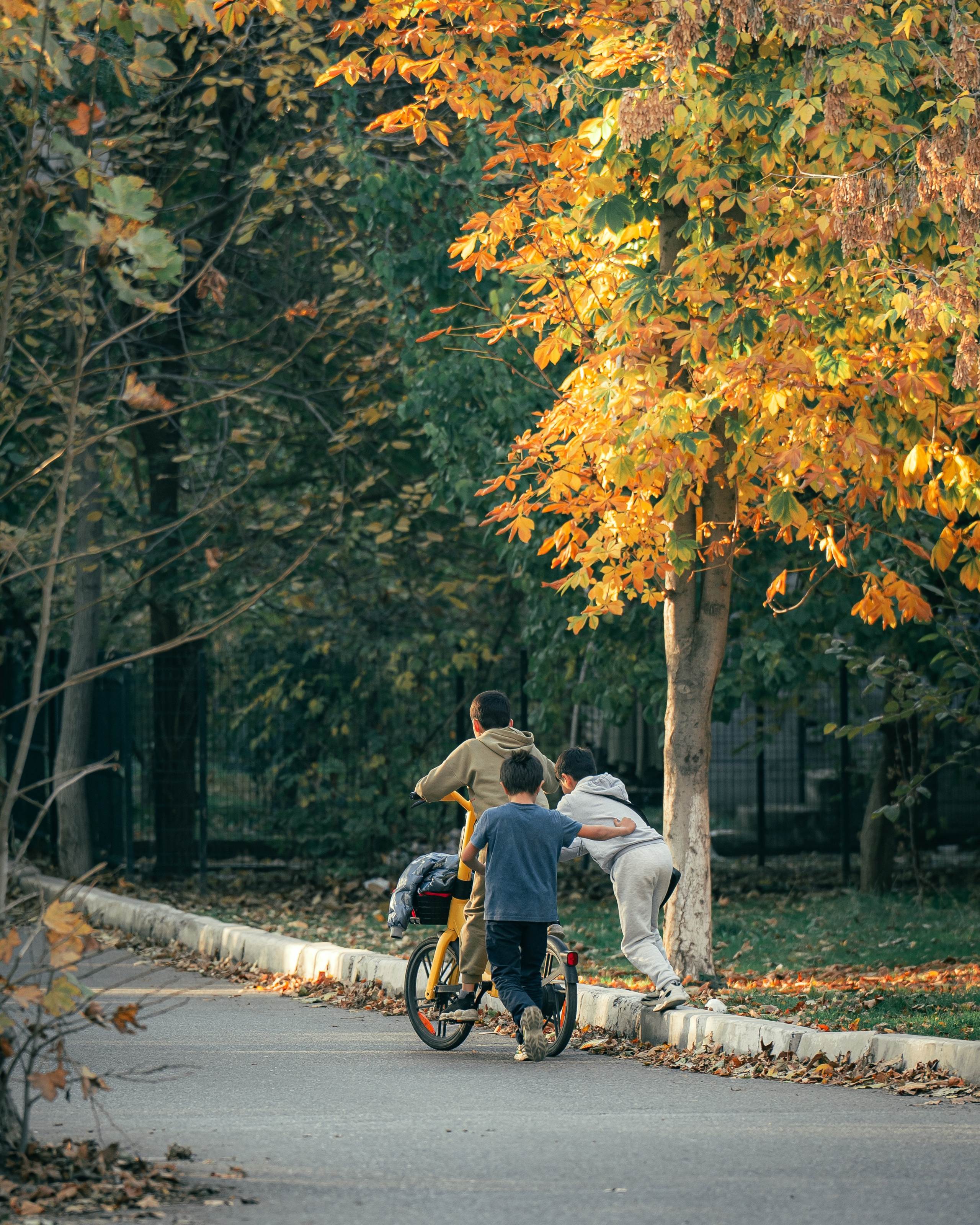 Ташкентская осень. Георгий Намазов | Фотограф в Ташкенте